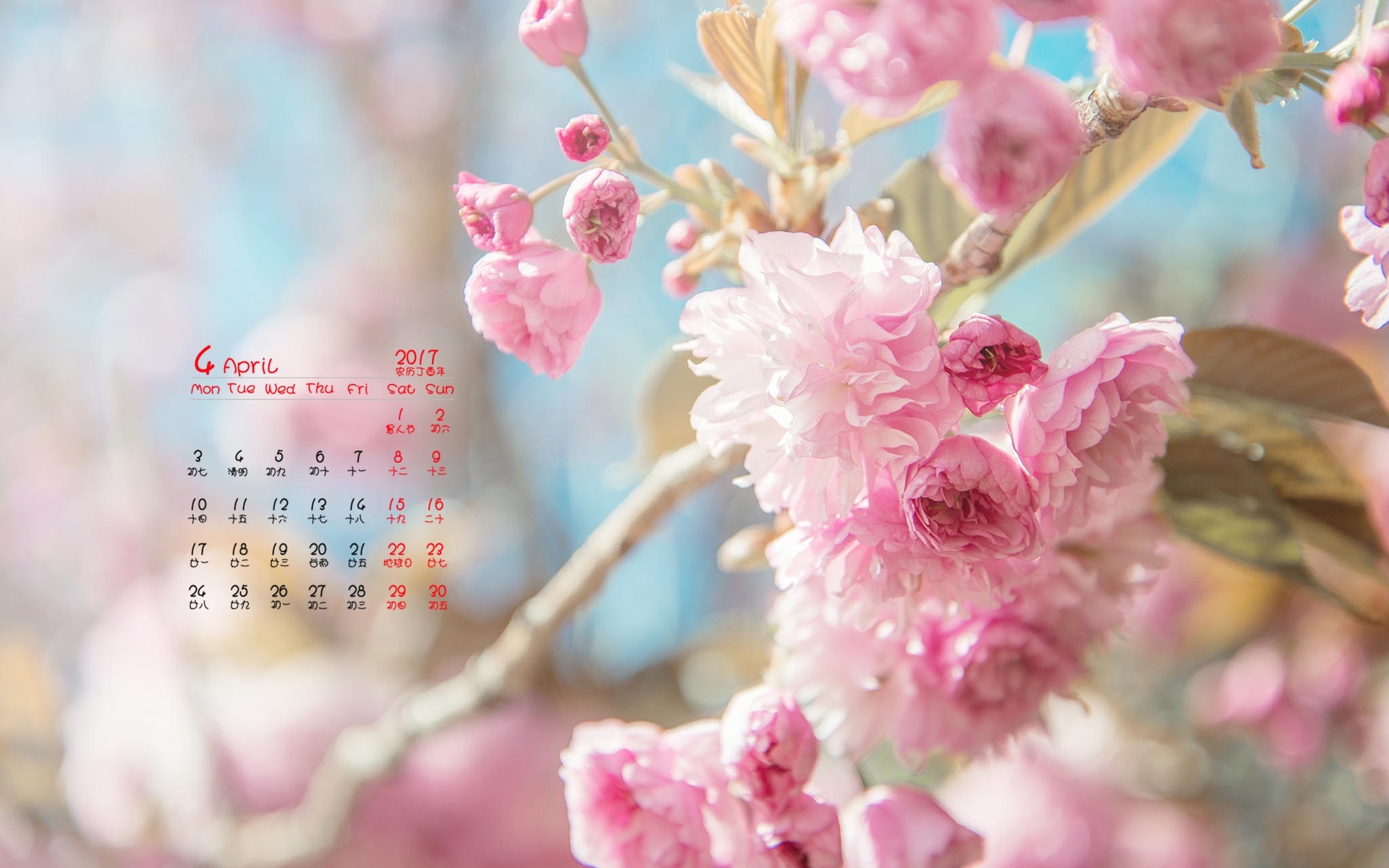 2017年4月 唯美樱花