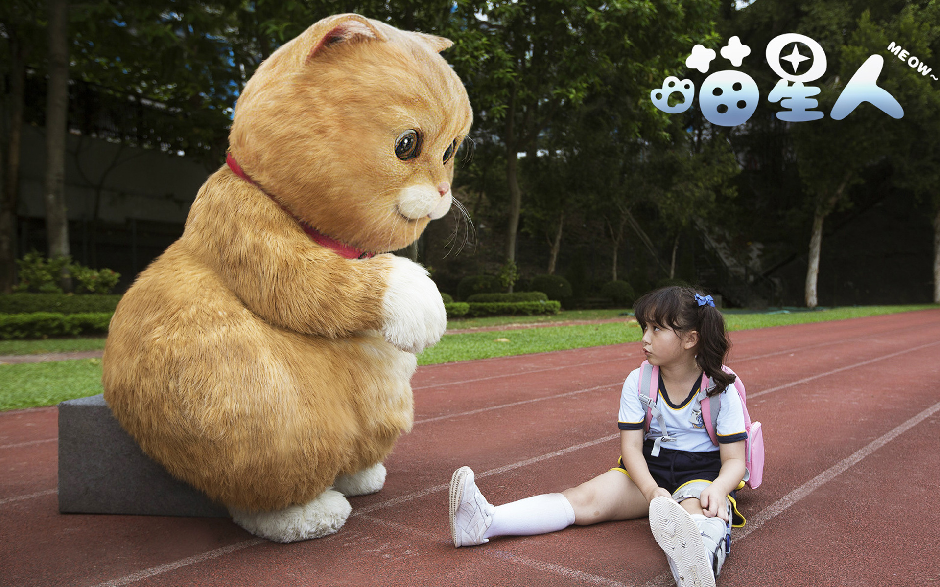 影视 电影 喵星人