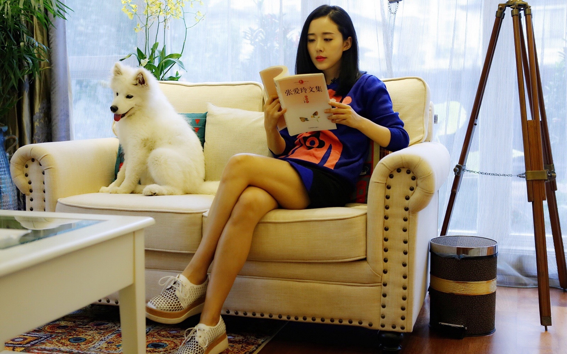 颜丹晨 美女 明星 宽屏