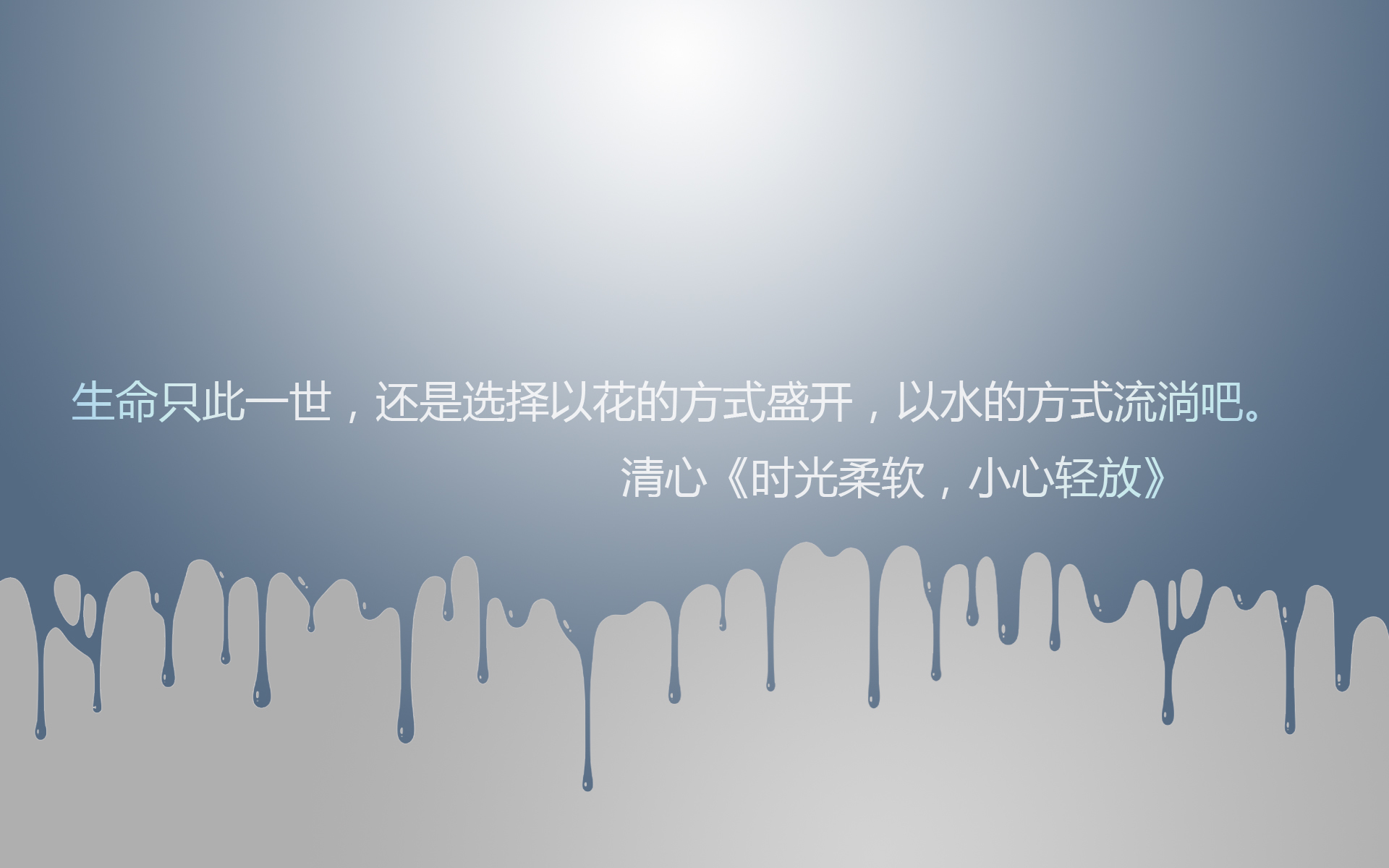 文字 语录 清心 时光柔软小心轻放