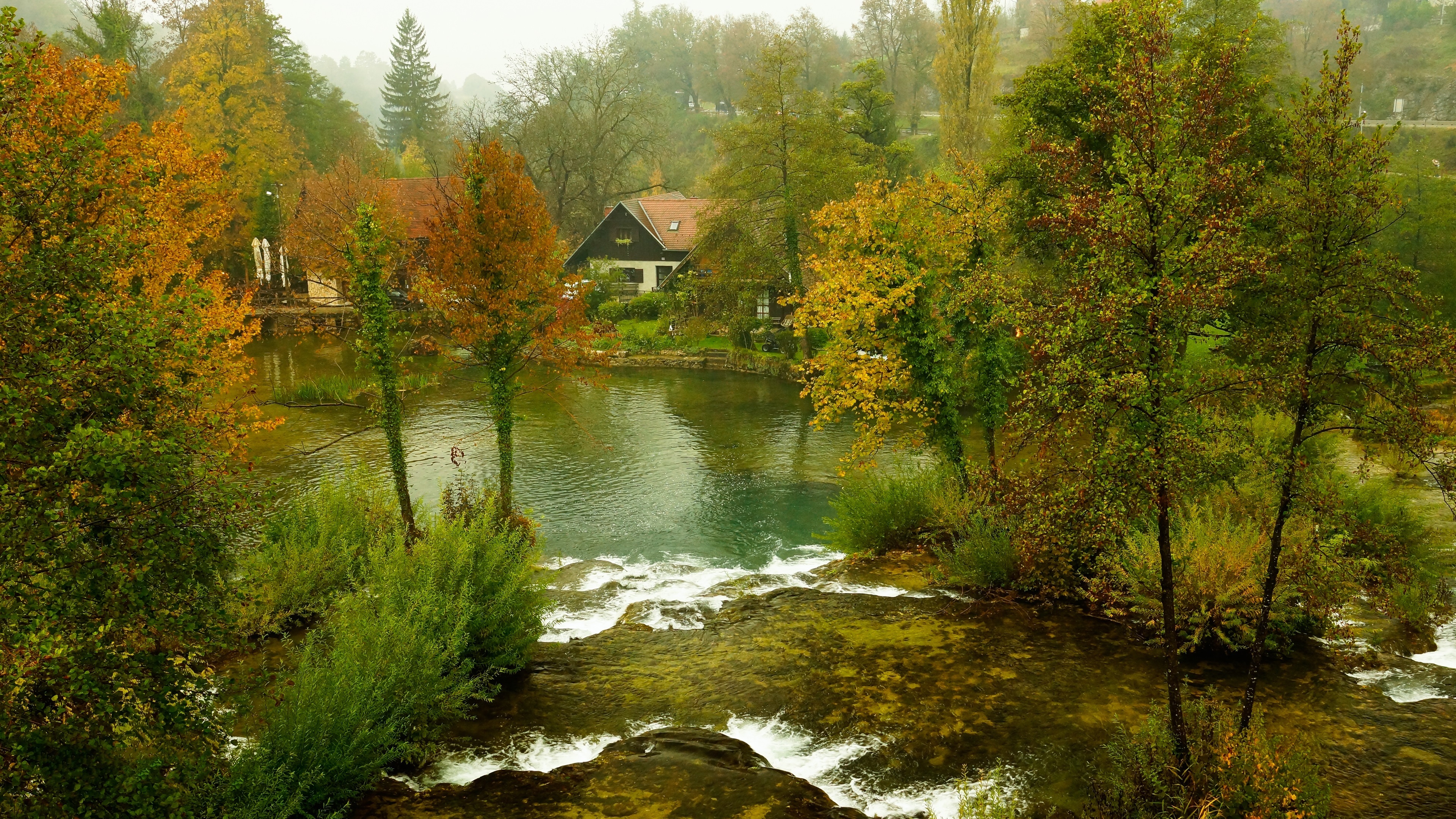 乡村 绿色 房屋