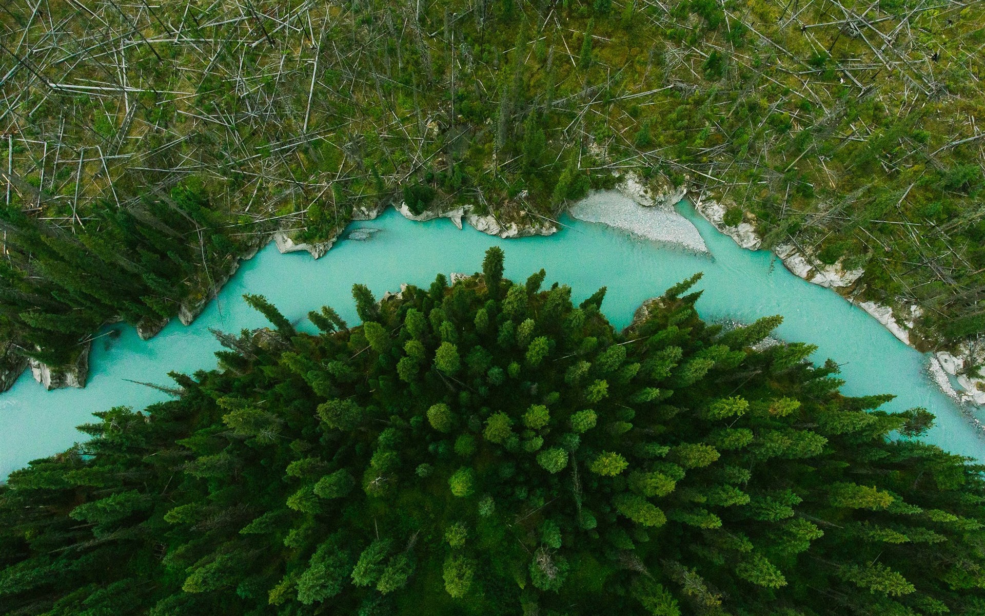 风景 航拍 森林 河流