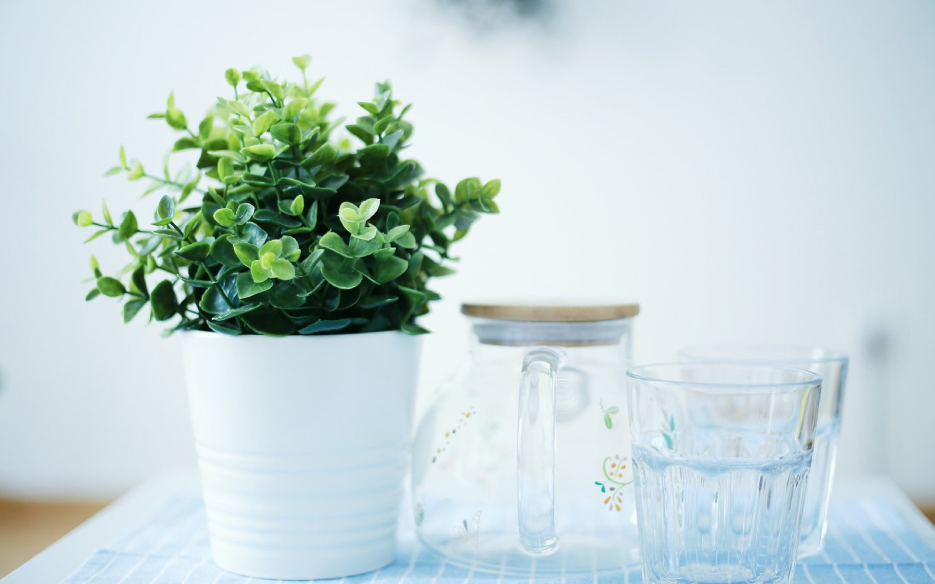 小清新 家居 静物