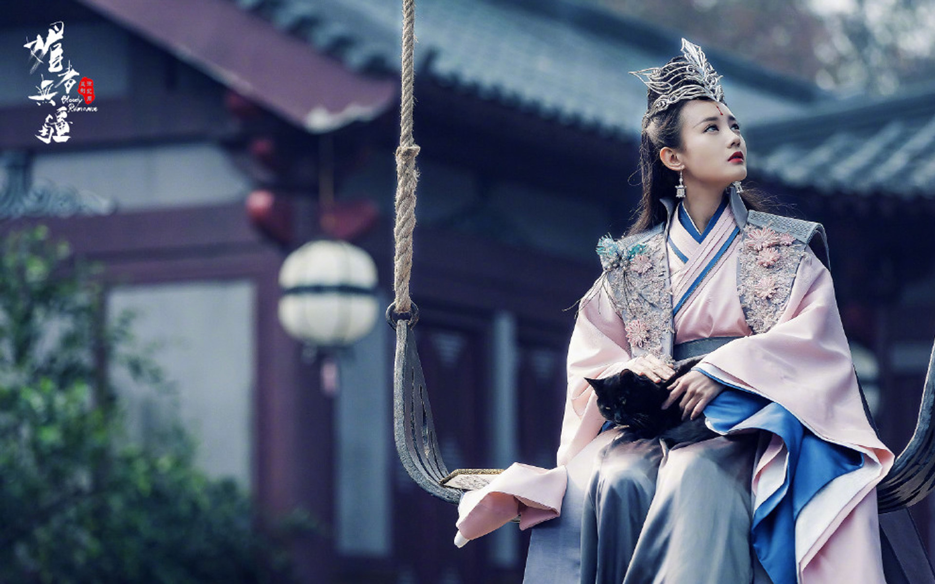 影视 电视剧 媚者无疆