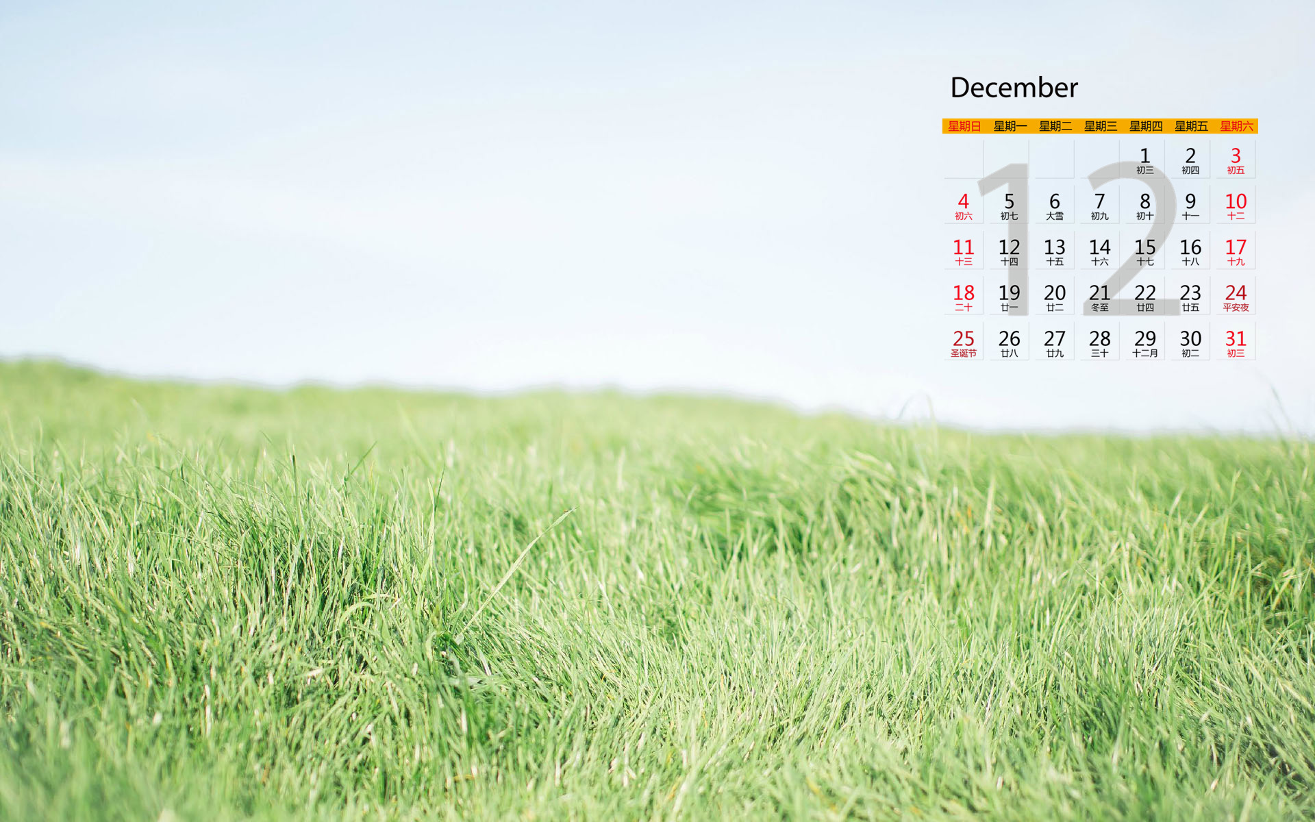 12月 草地 小清新