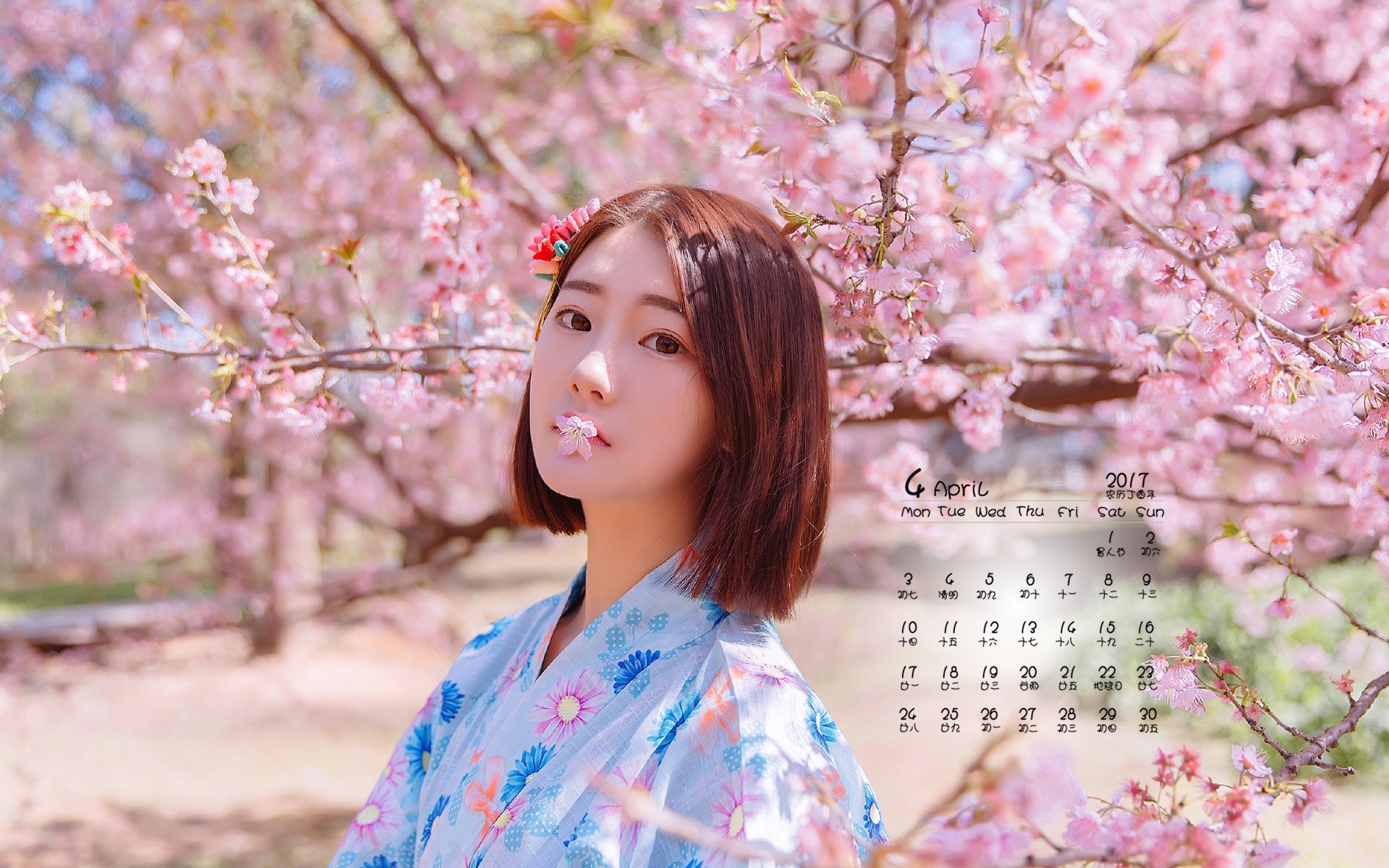 2017年4月 樱花和服美女