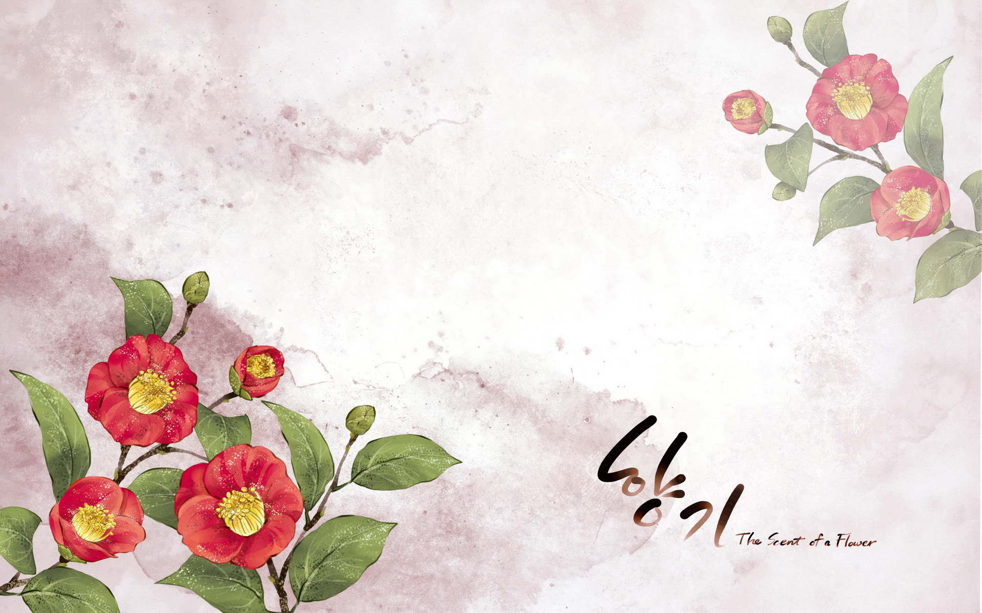 小清新  浪漫   简约  花卉   宽屏