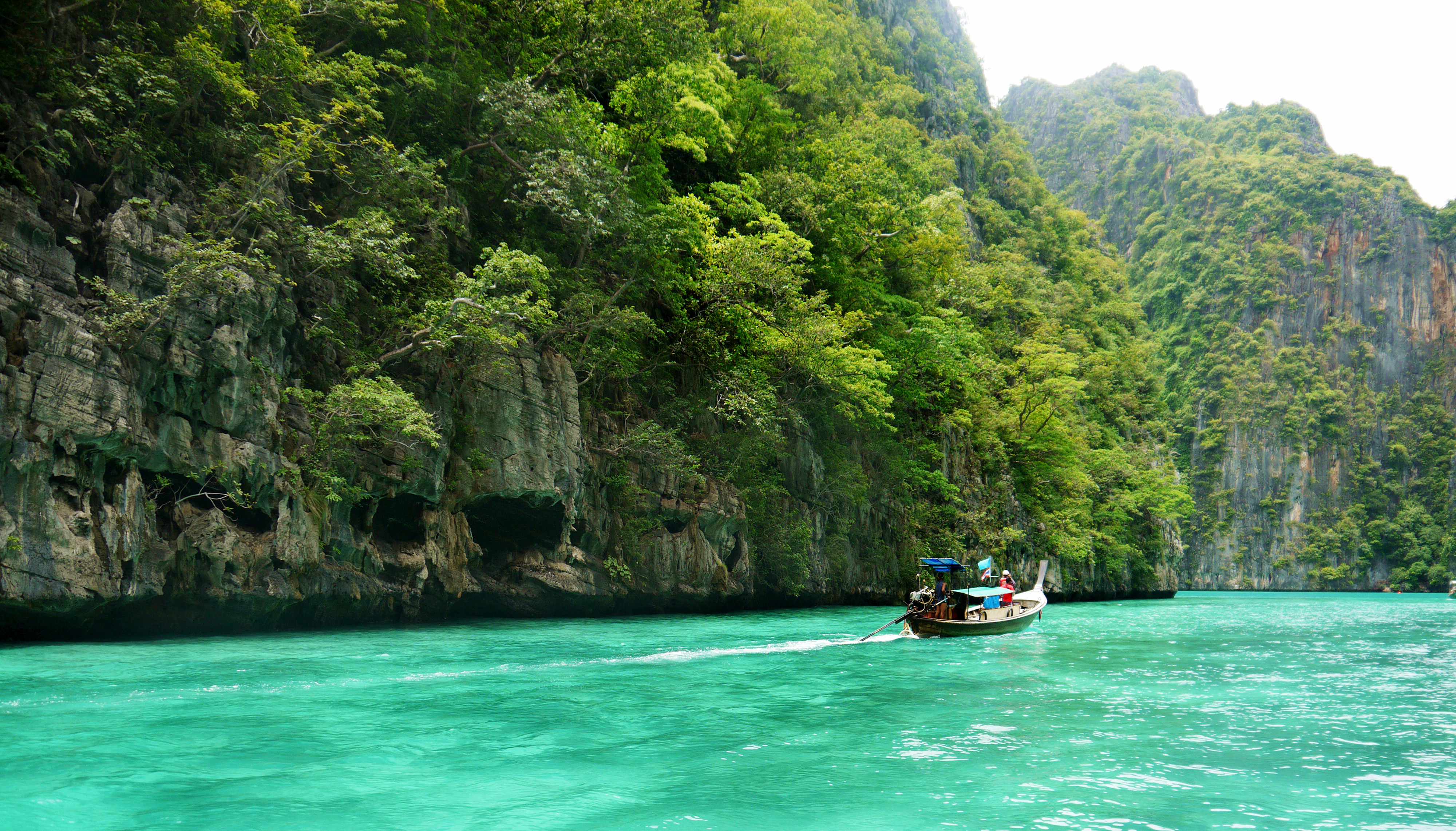 绿色 风景 美景