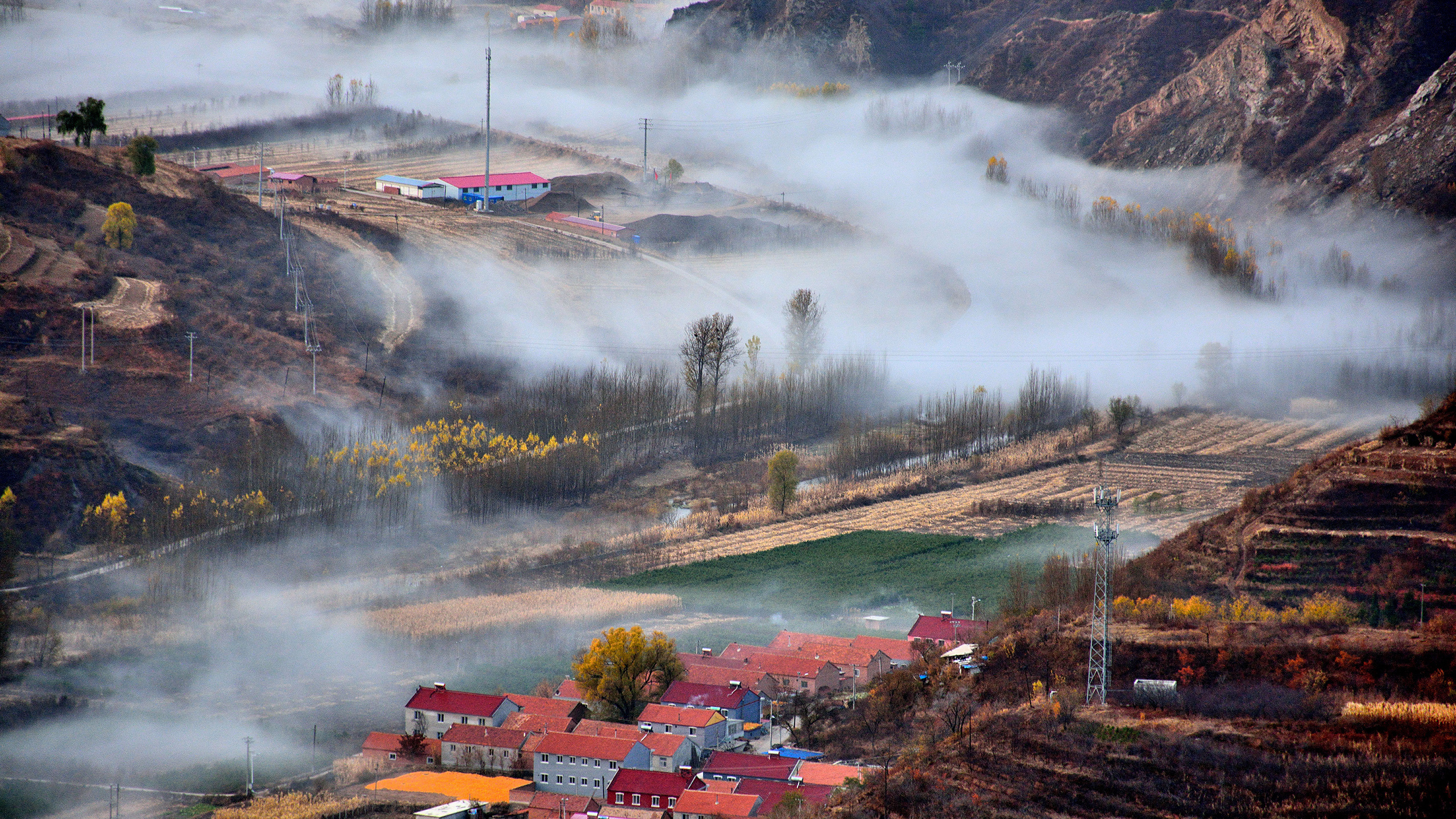 风景