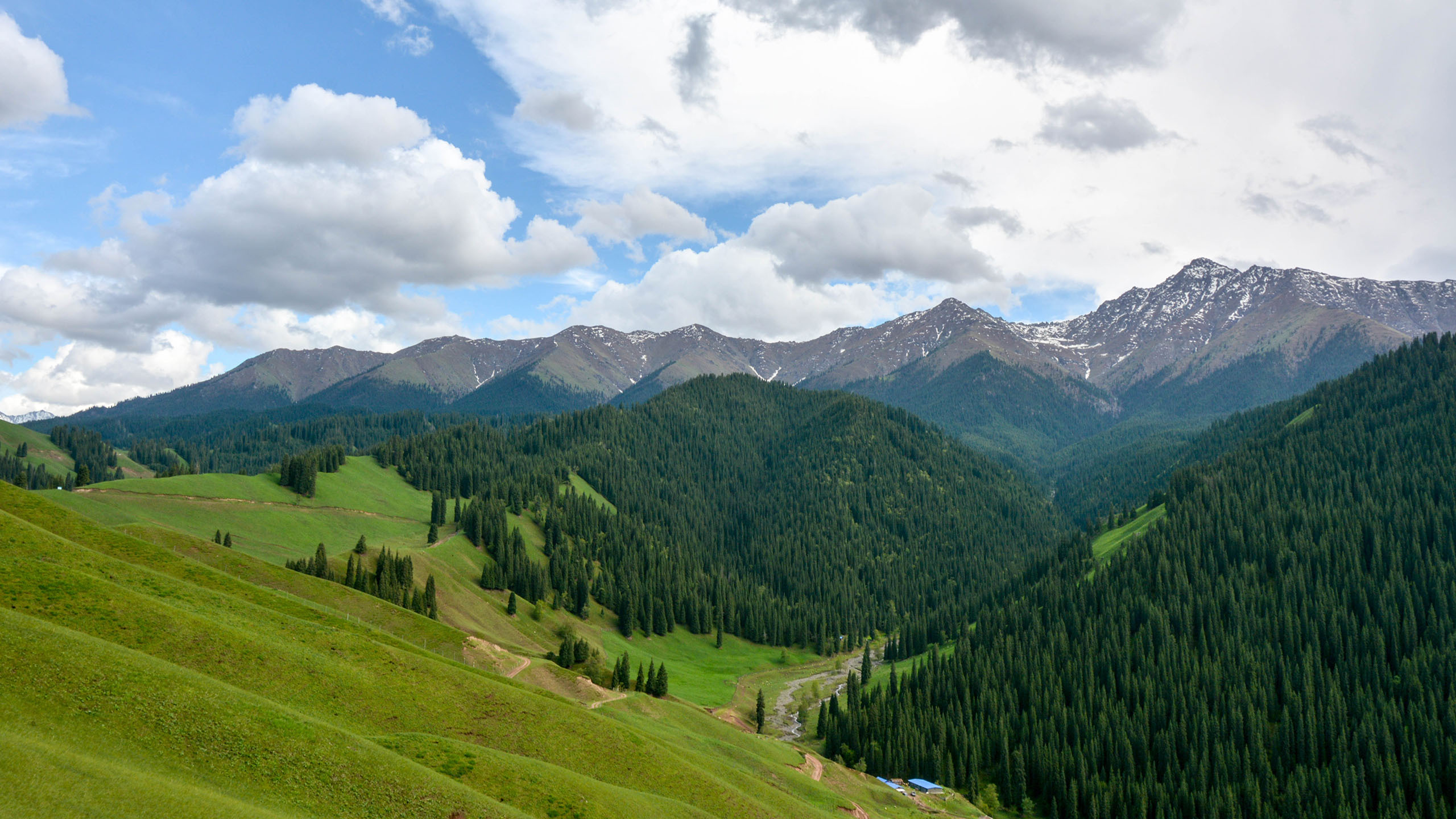 风景 自然风光 草地 新疆 草原 克尔斯陶牧区