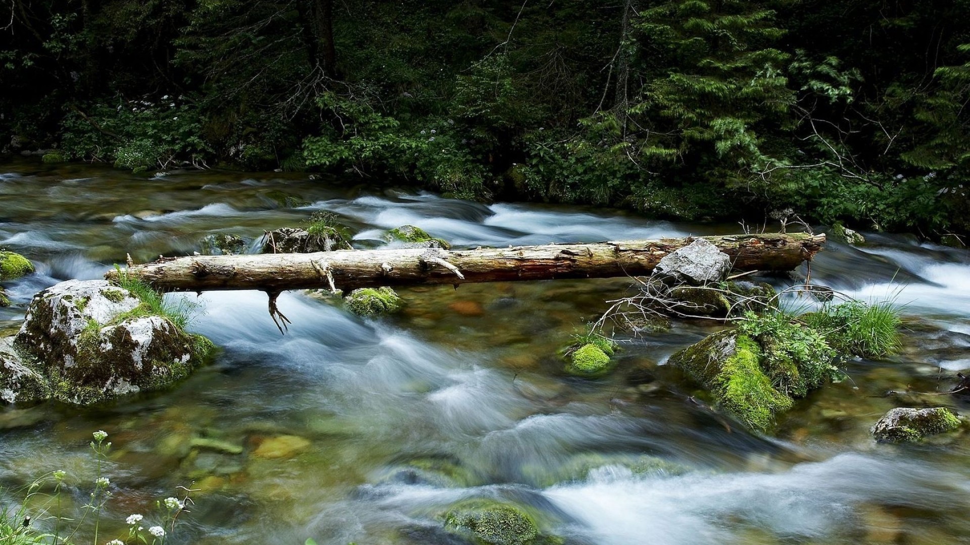风景 自然风光 溪流