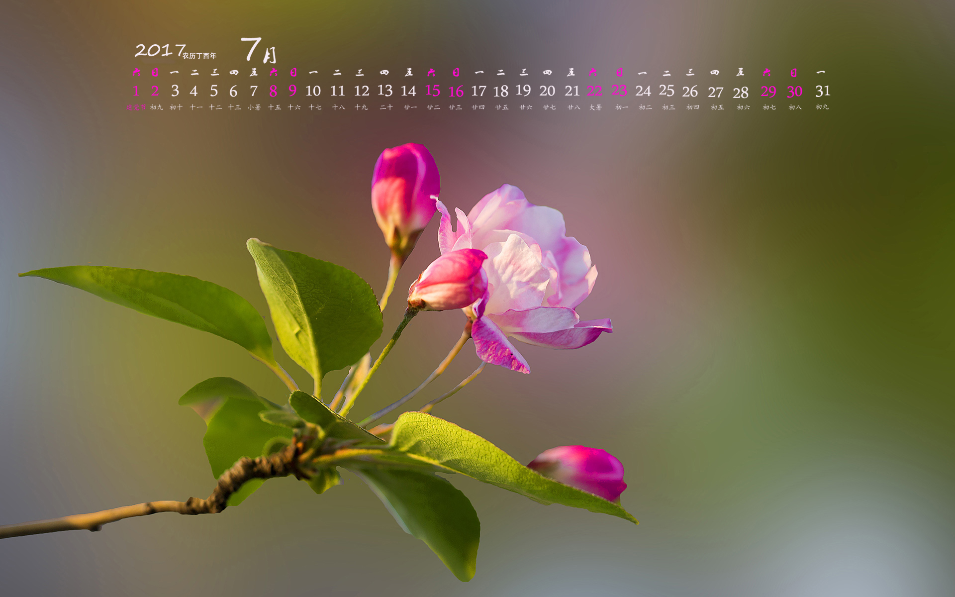 月历壁纸 2017年7月