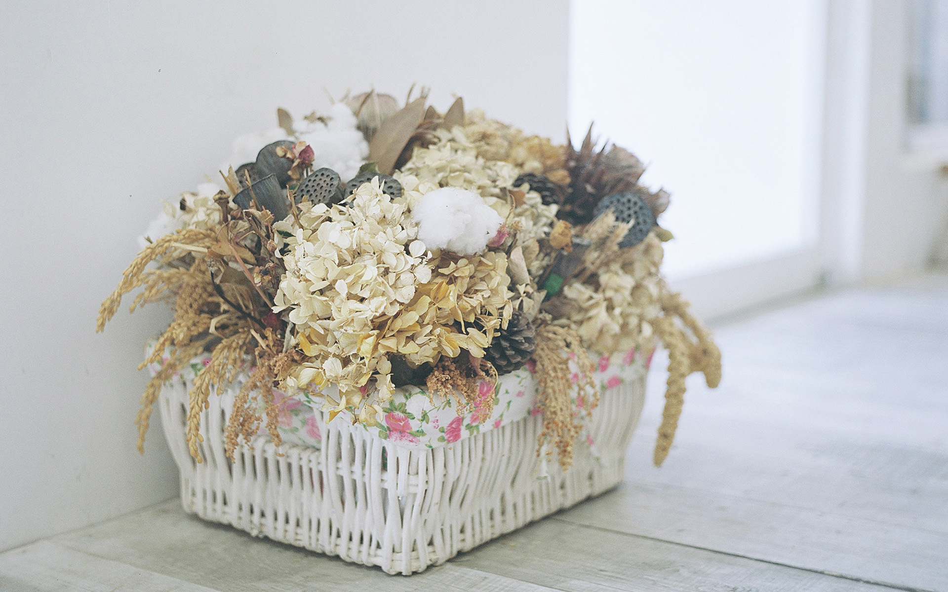 小清新 静物写真