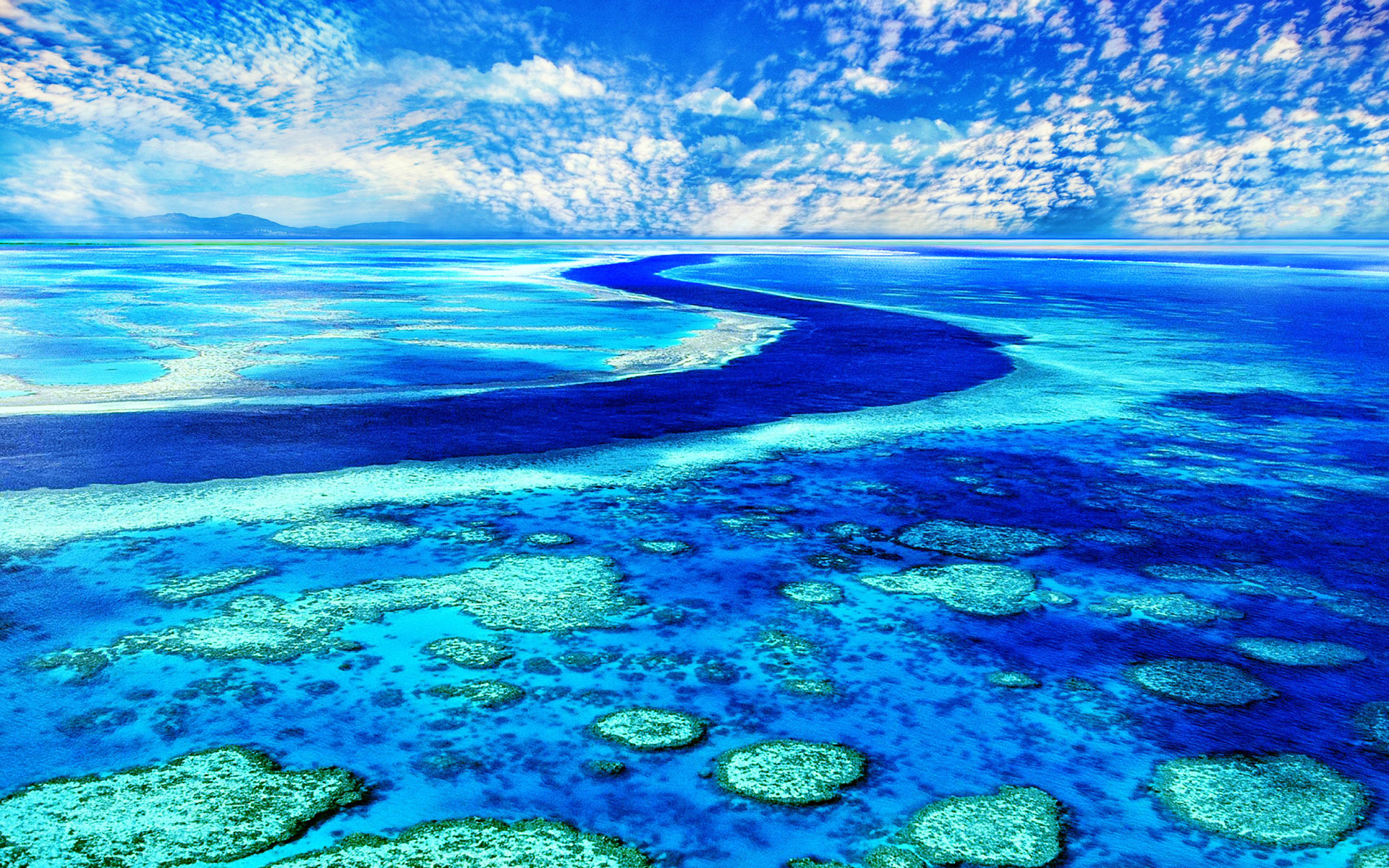 海洋天堂 蓝色