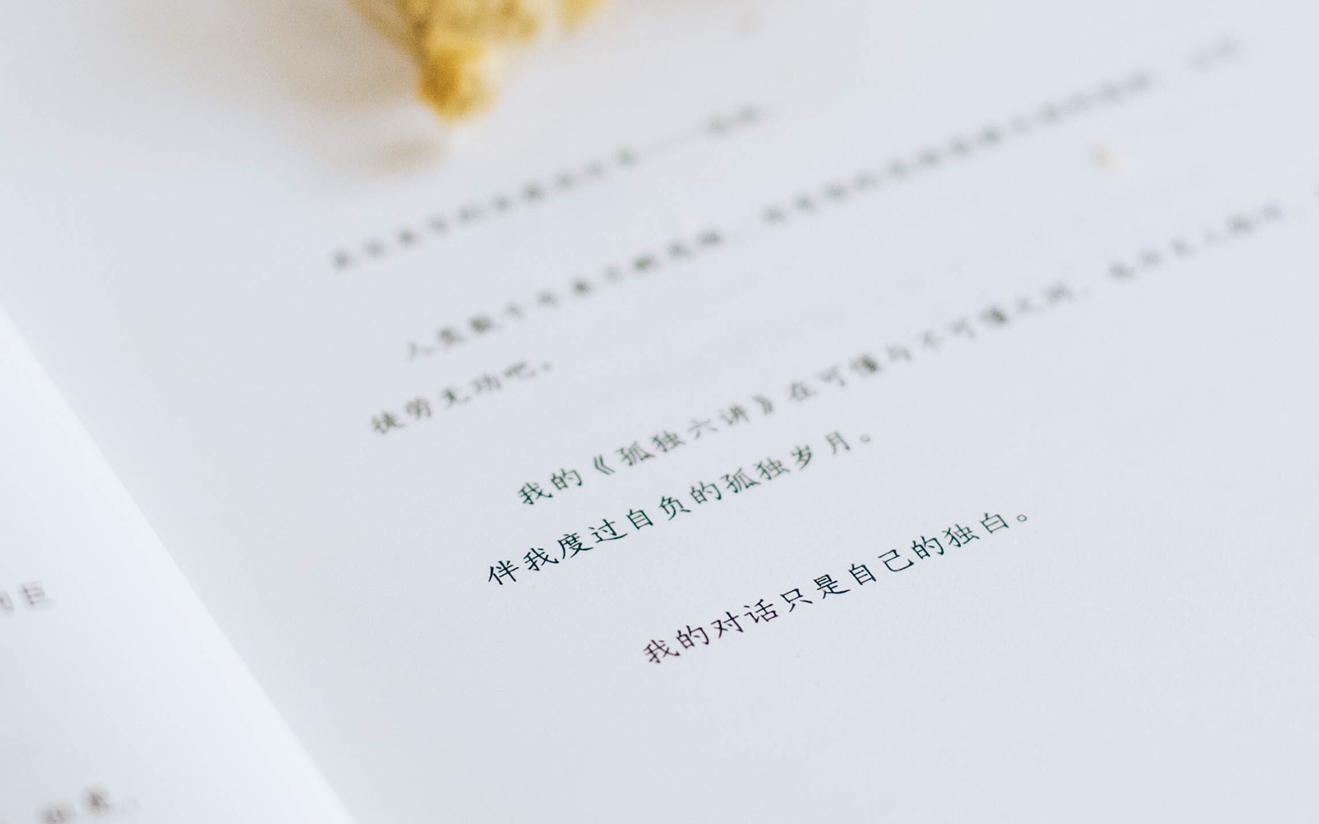 静物写真  ins风简单桌面