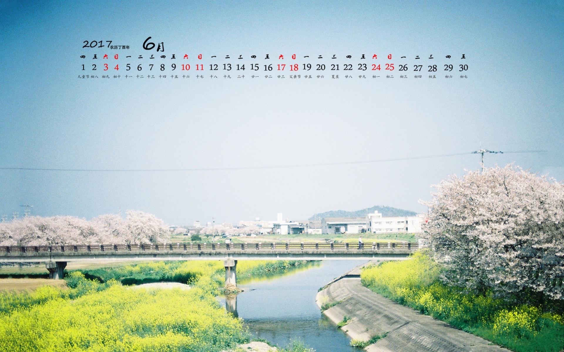 2017年6月 河流 鲜花