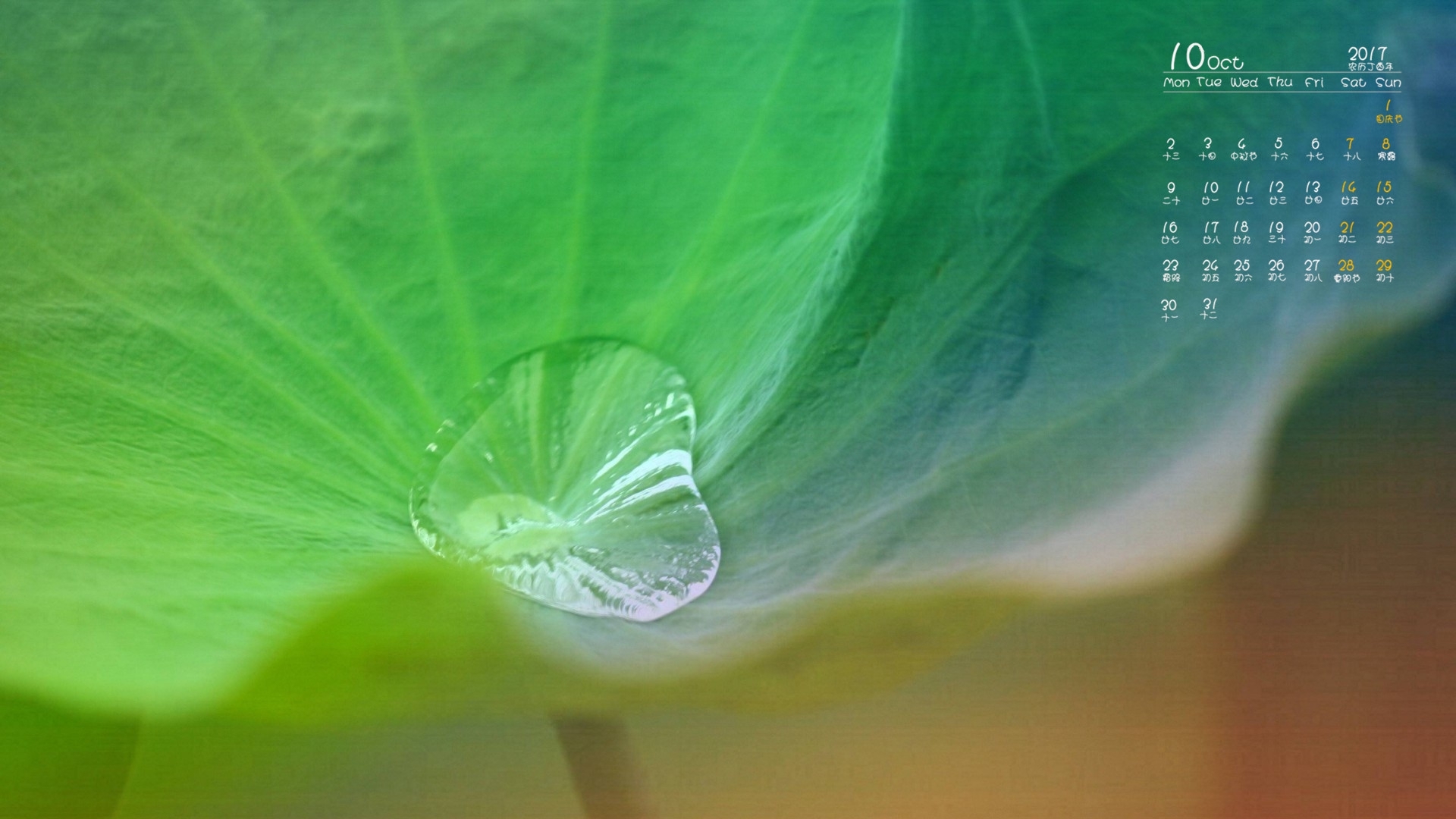 日历 2017年10月 荷叶 绿叶