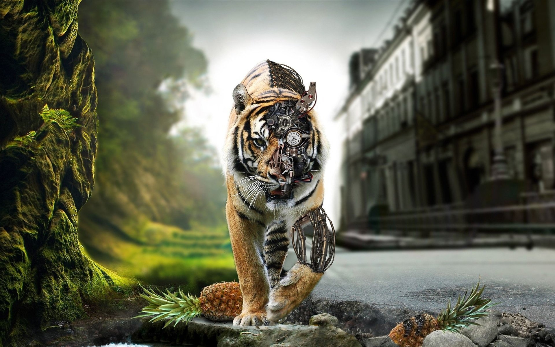 炫酷  酷帅的老虎