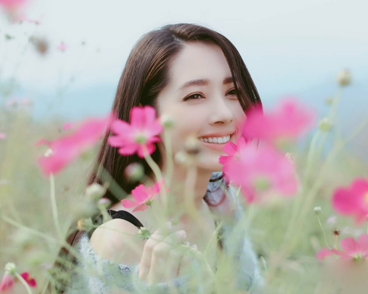 郭碧婷 港台 明星