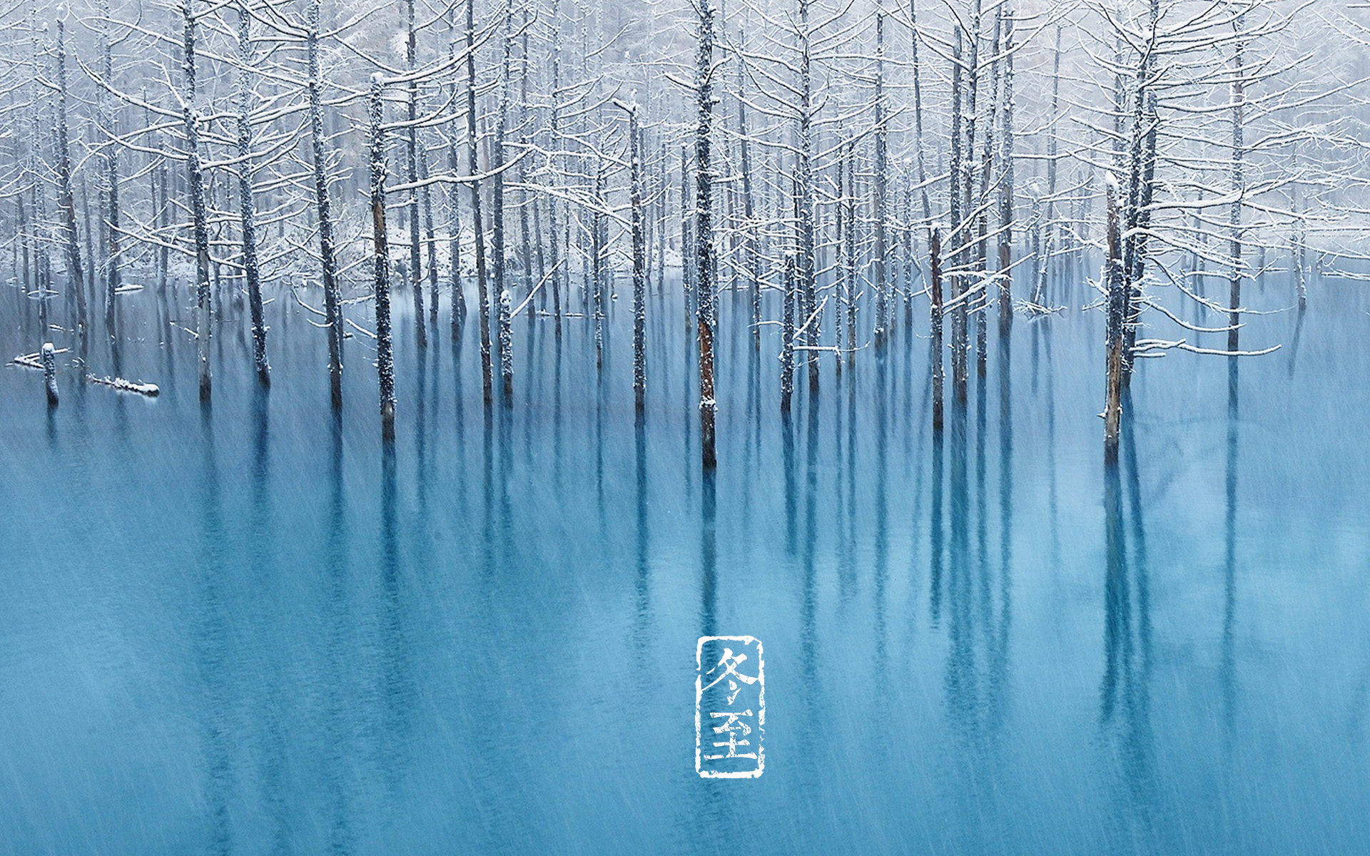 冬至 风景 雪景