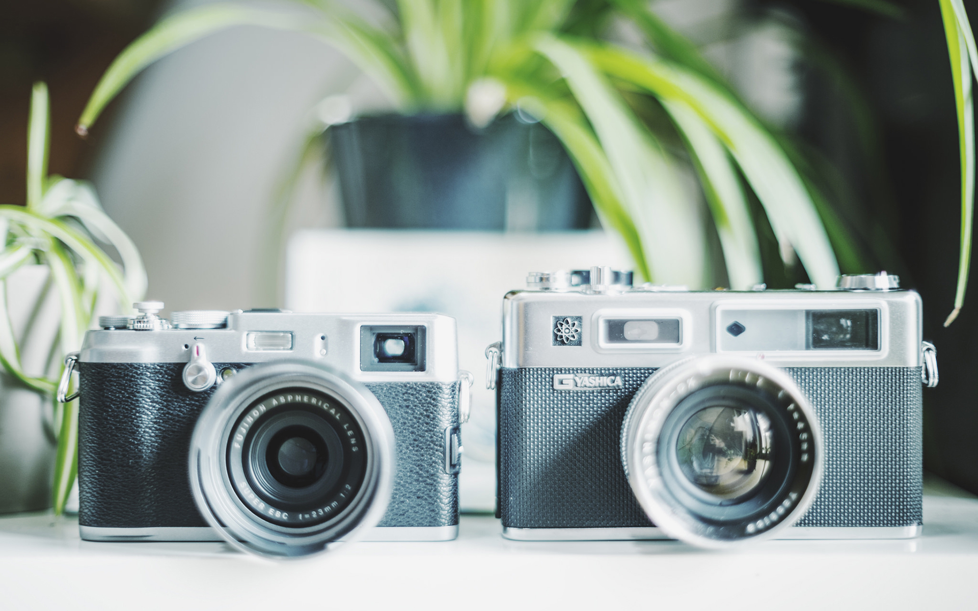 小清新 静物写真 相机