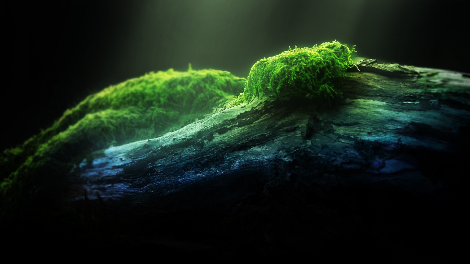 小清新 青苔 清新淡雅