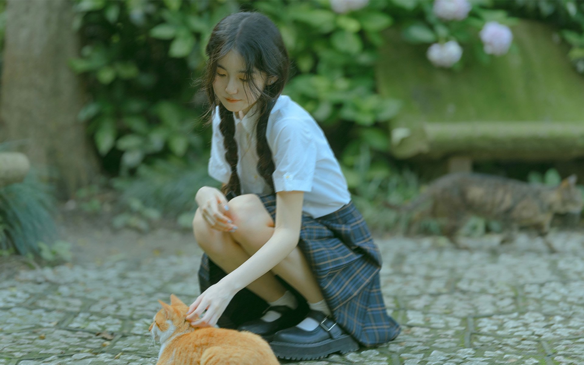 清纯 麻花辫 猫 校园风