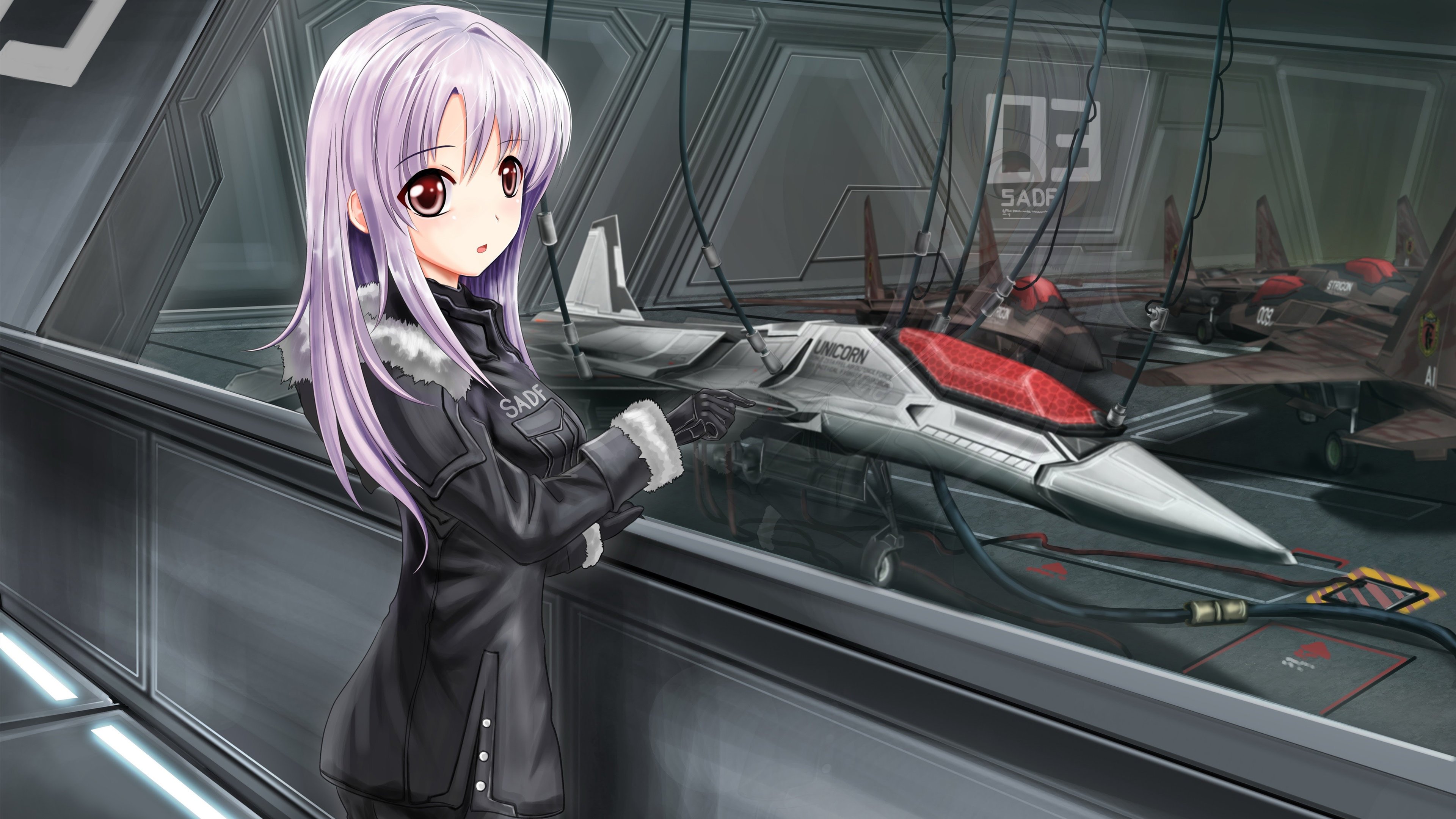 战斗机 飞行员 紫发女孩