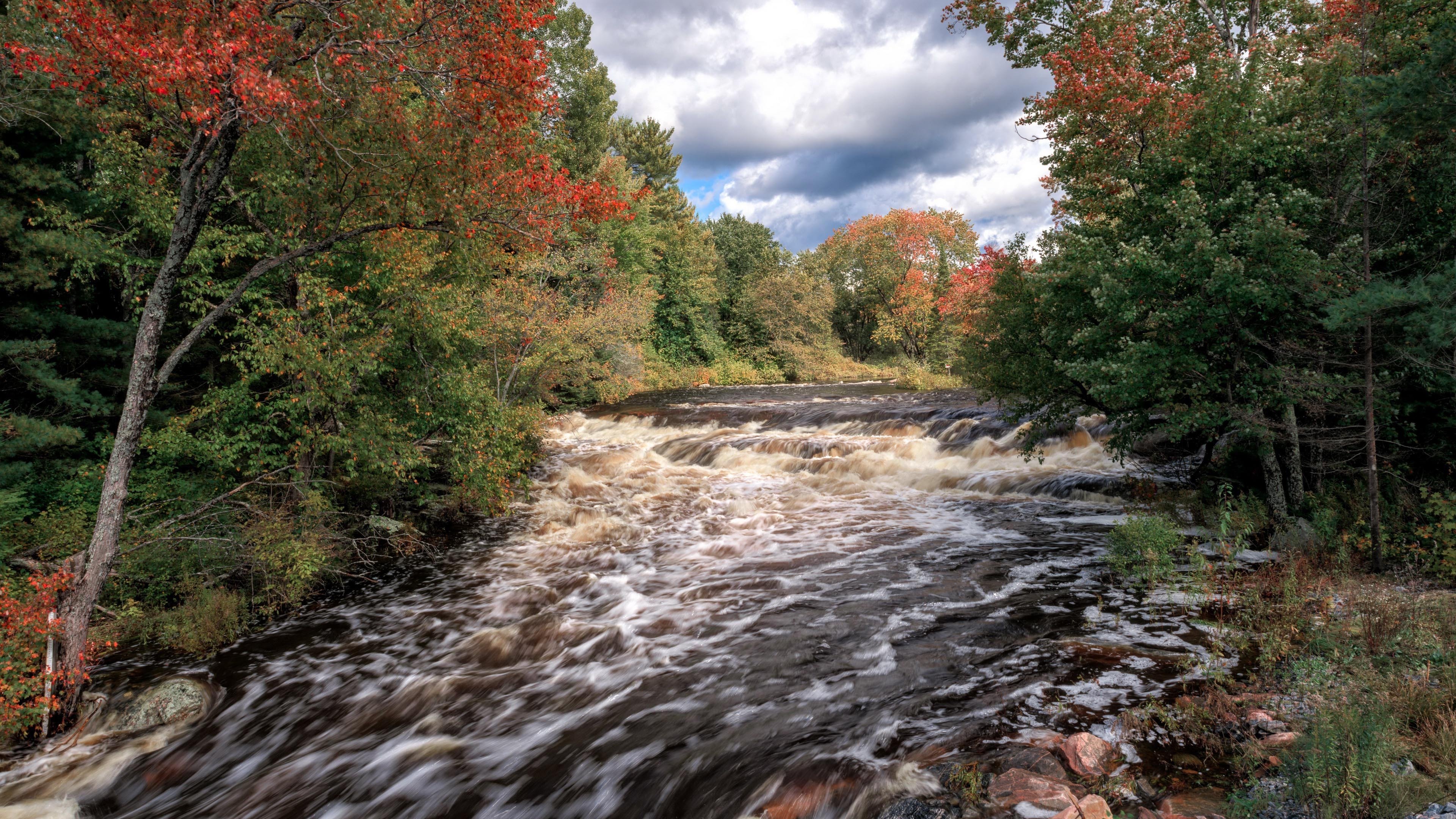 秋意正浓 河流 树林 波涛
