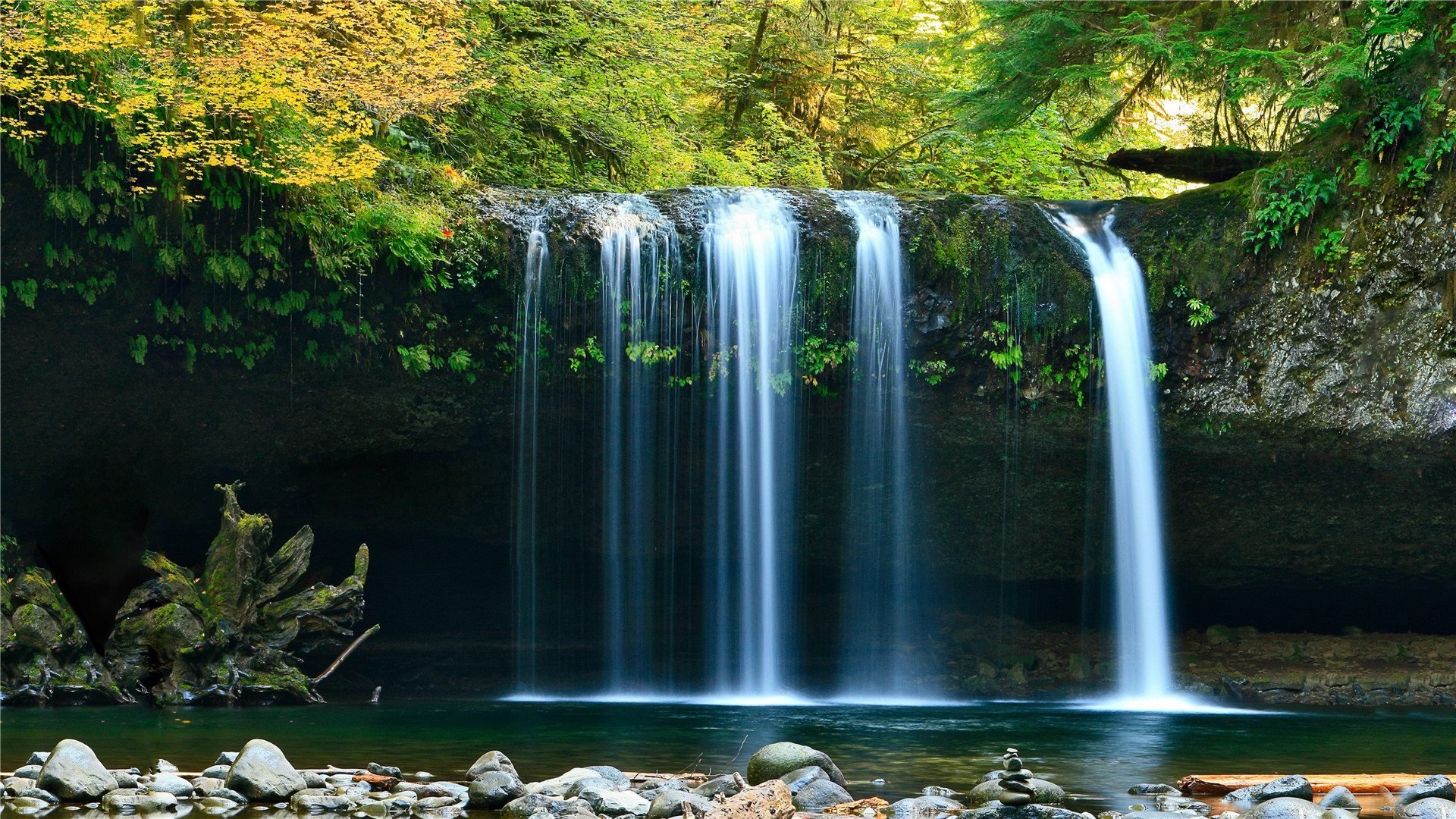 炎炎夏日 瀑布 清凉 水潭 水帘