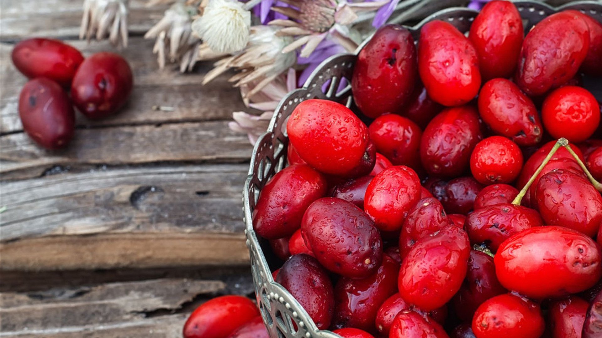 静物写真  重阳节  红色  茱萸