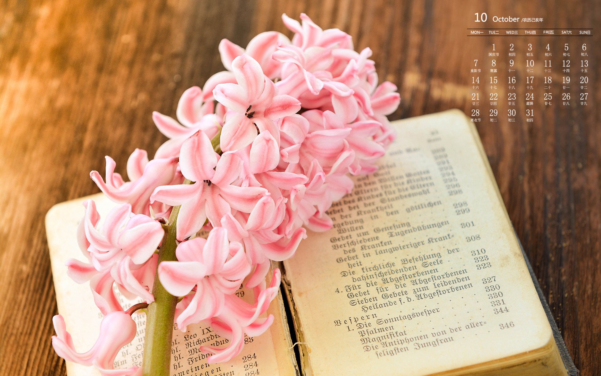 月历壁纸 九月 2019 年 10 月 日历