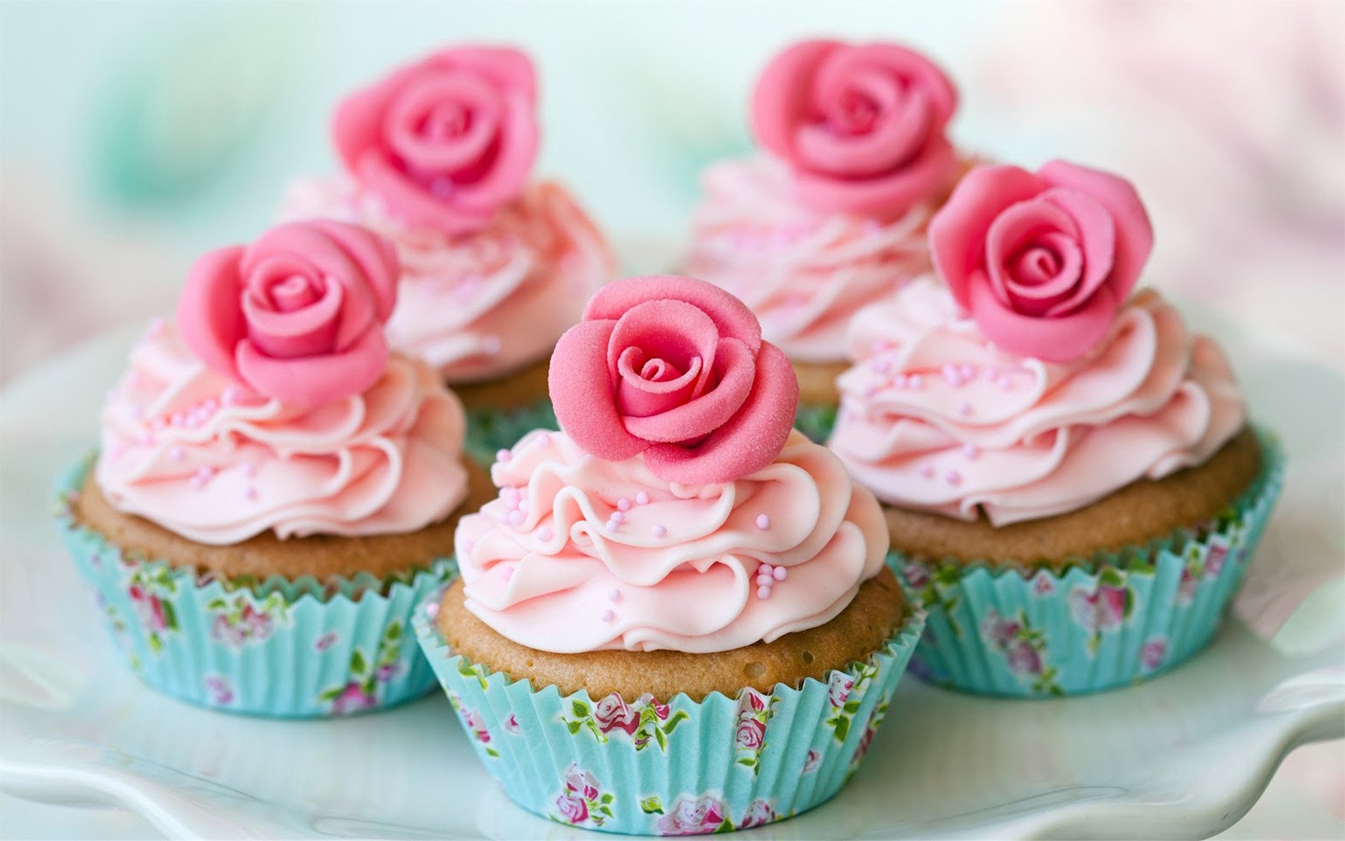 静物写真 糕点  食物