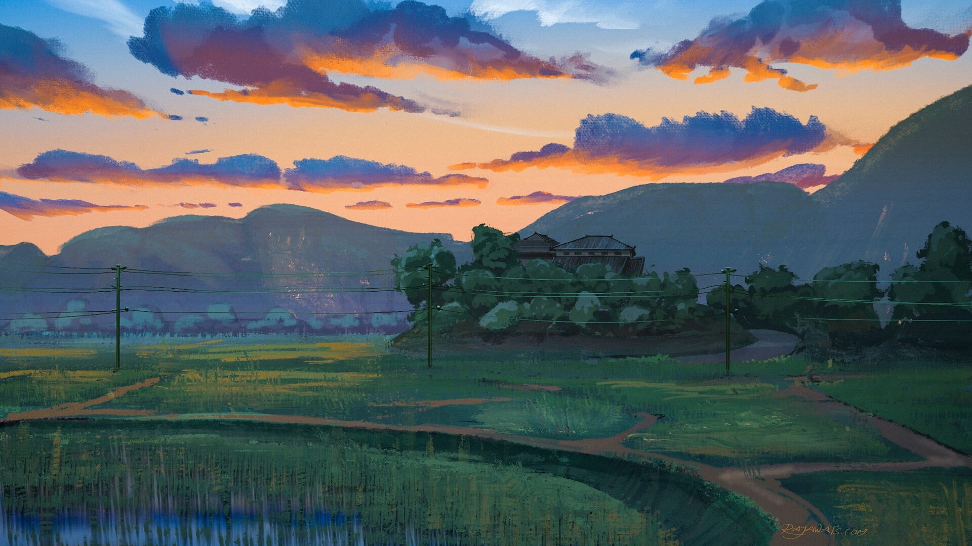 晚霞 乡村 稻田 电线杆