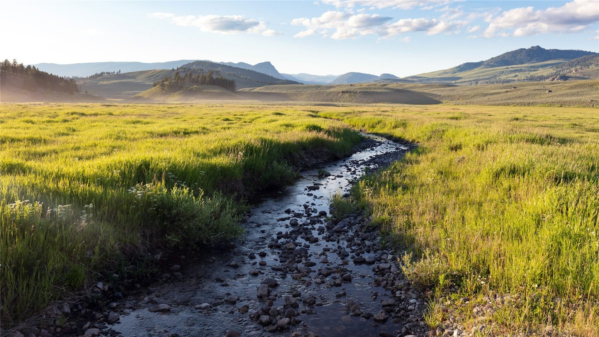 自然风光 草原 小溪 平原