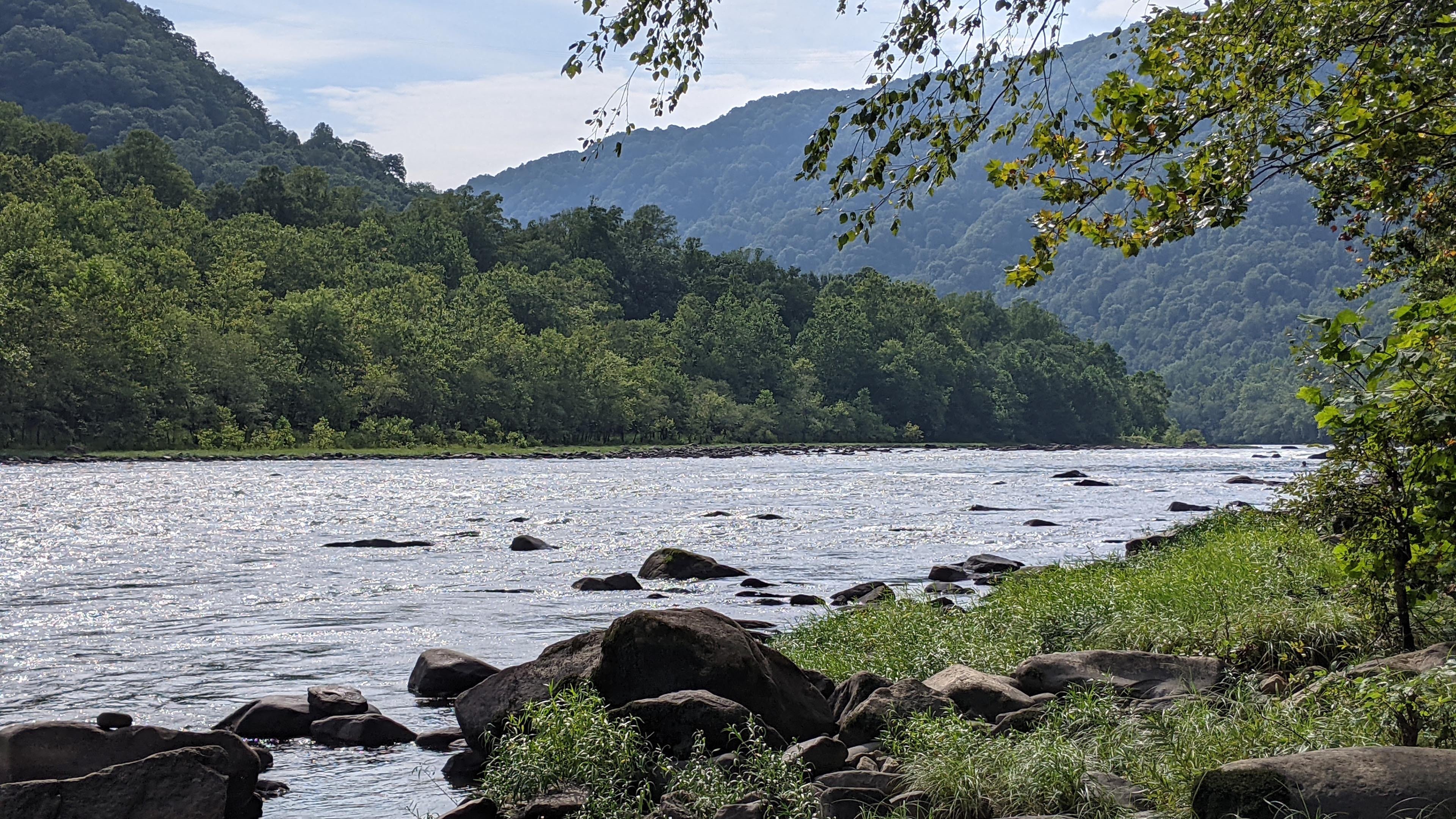 自然风光 河流 河岸边