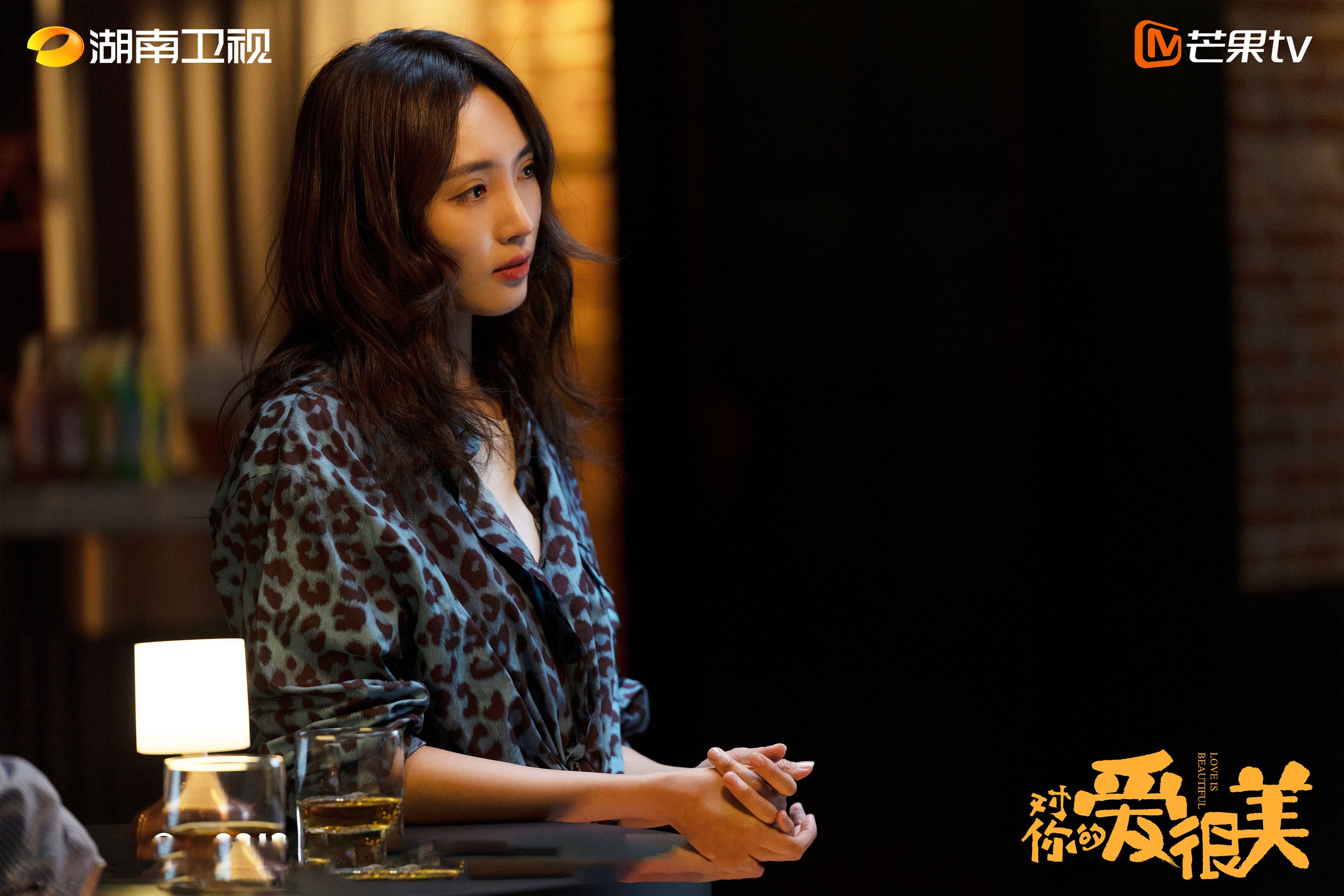 对你的爱很美 张嘉译 沙溢 刘敏涛