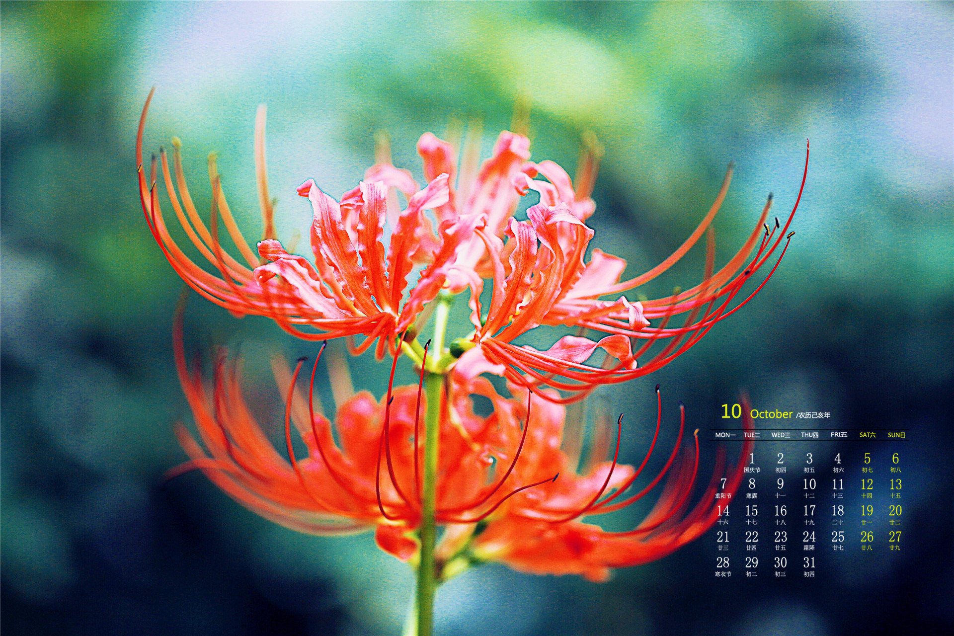 月历壁纸 九月 2019 年 10 月 日历