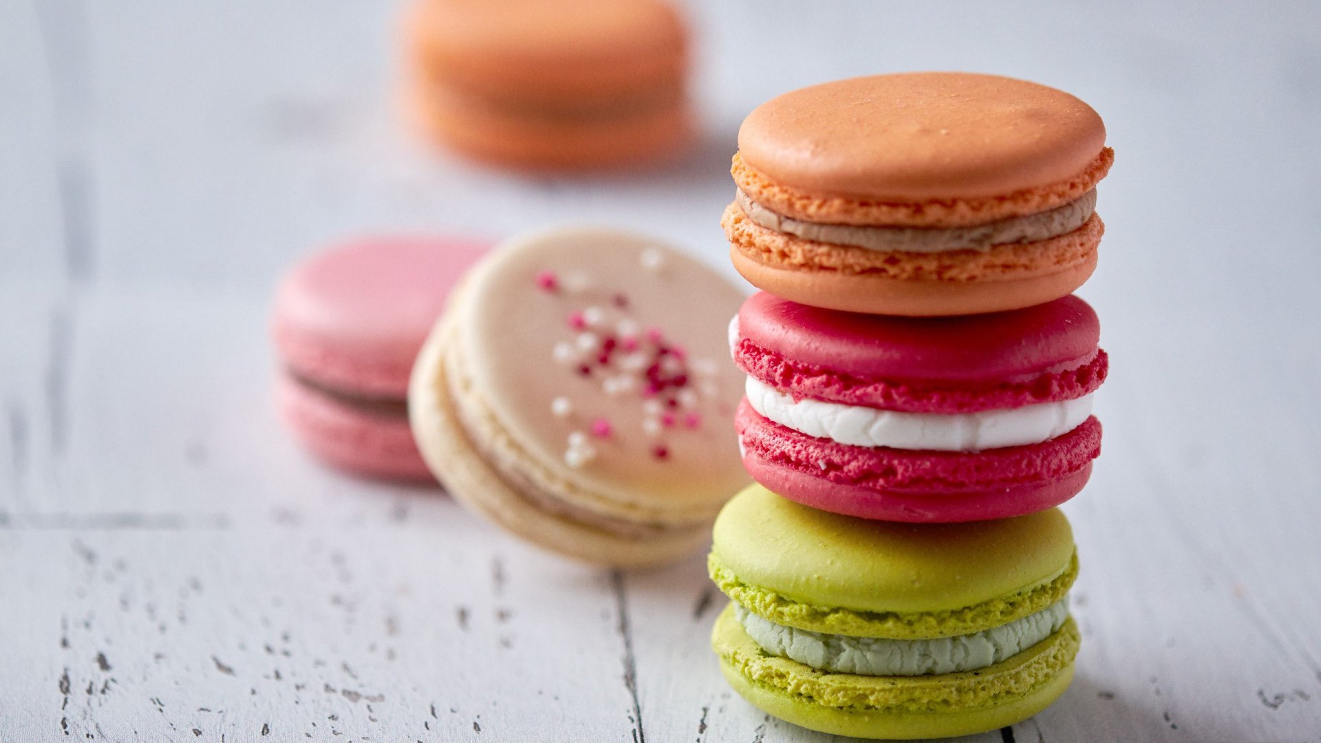 静物写真 马卡龙 饼干 颜色