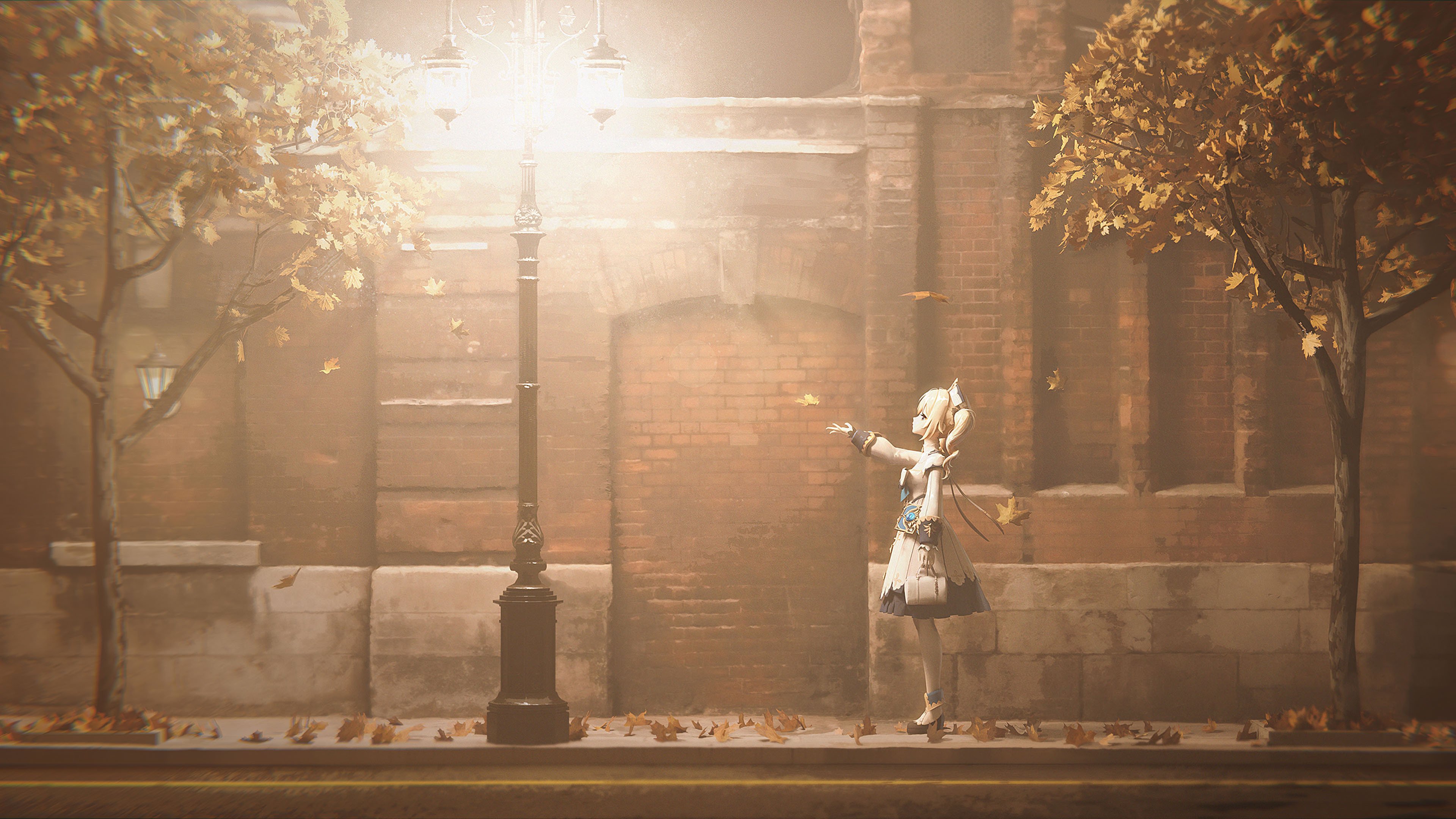 路灯 深秋 夜晚 落叶 街道