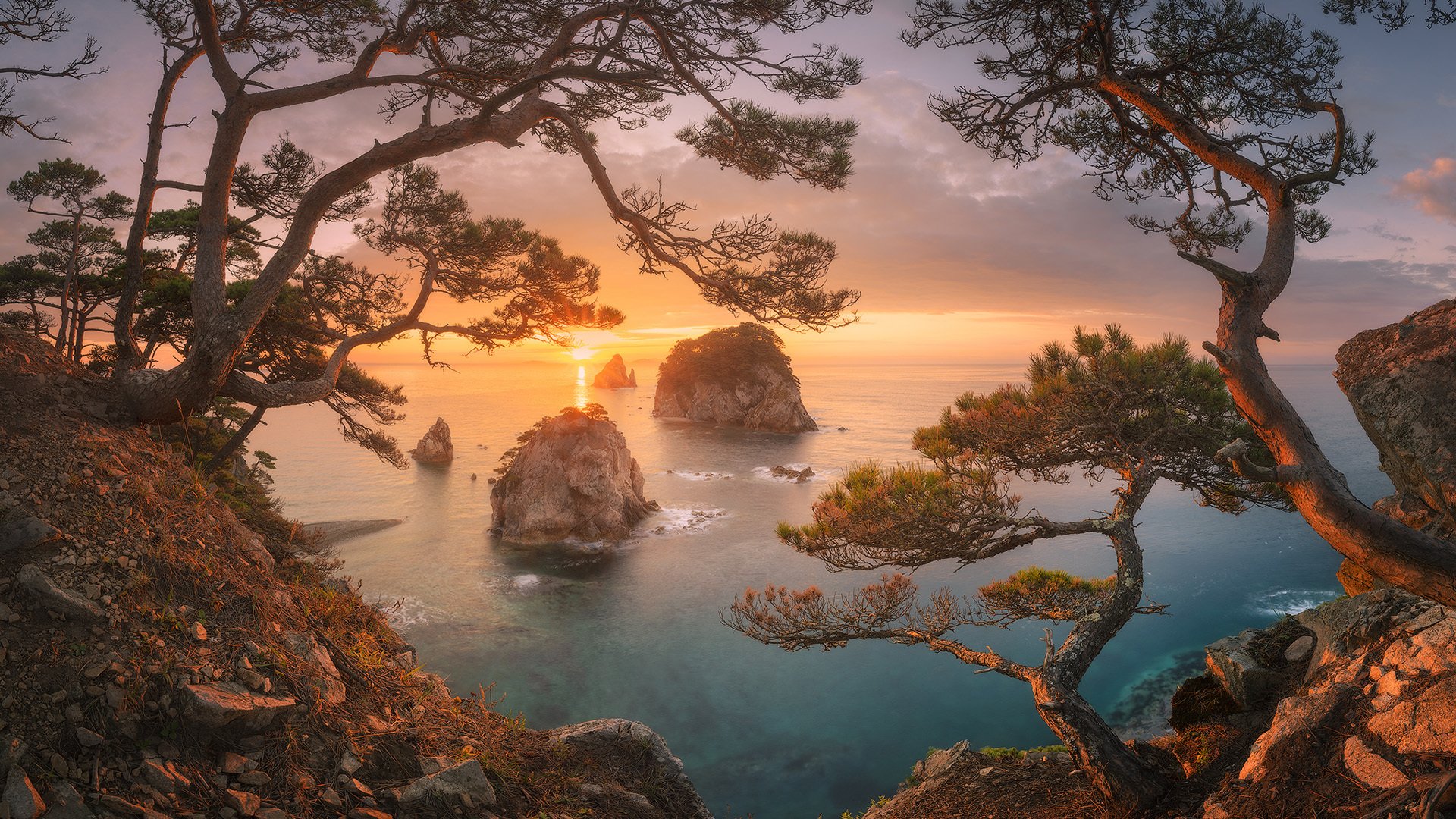 海洋天堂 日出东方 松树 海岛