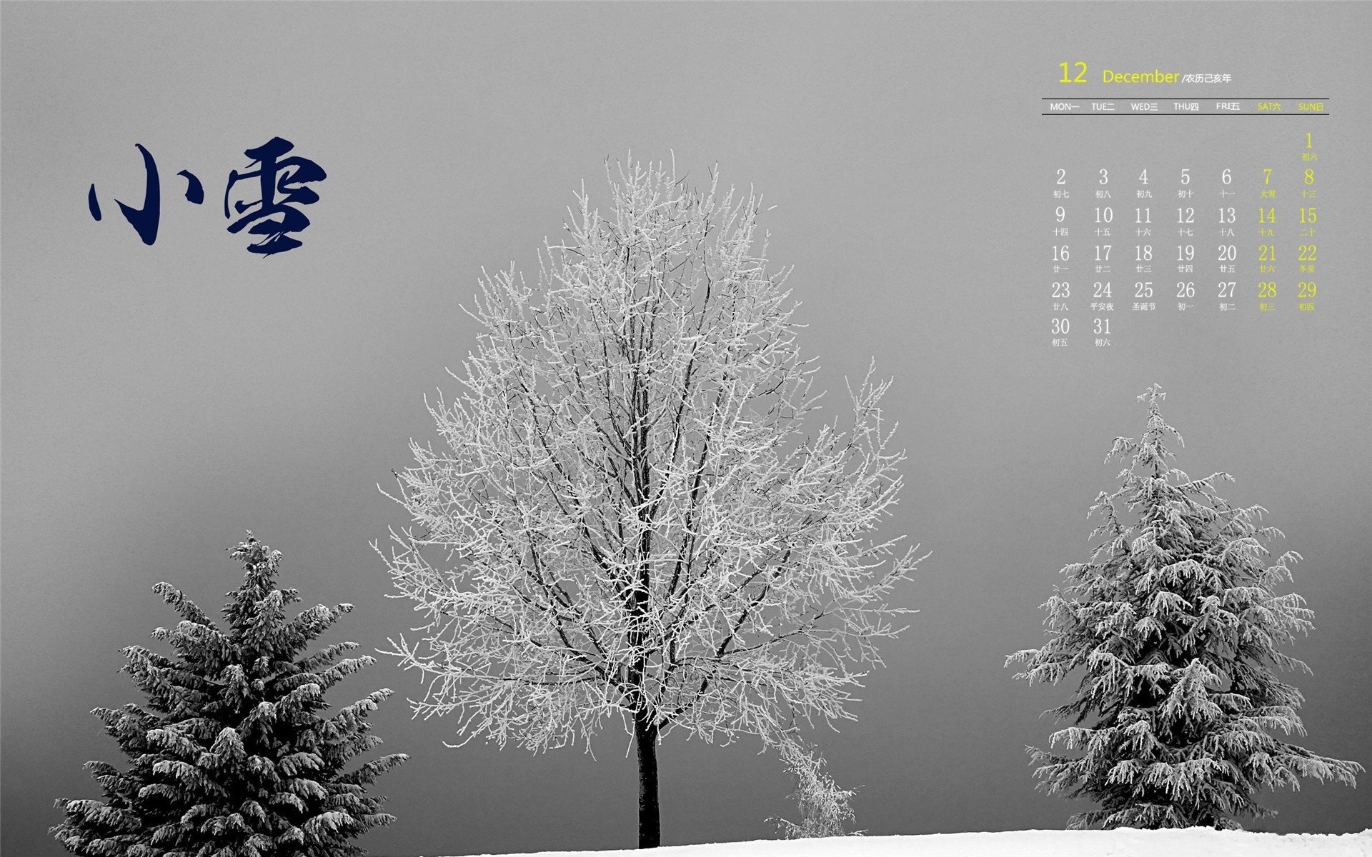 月历 2019年12月 日历