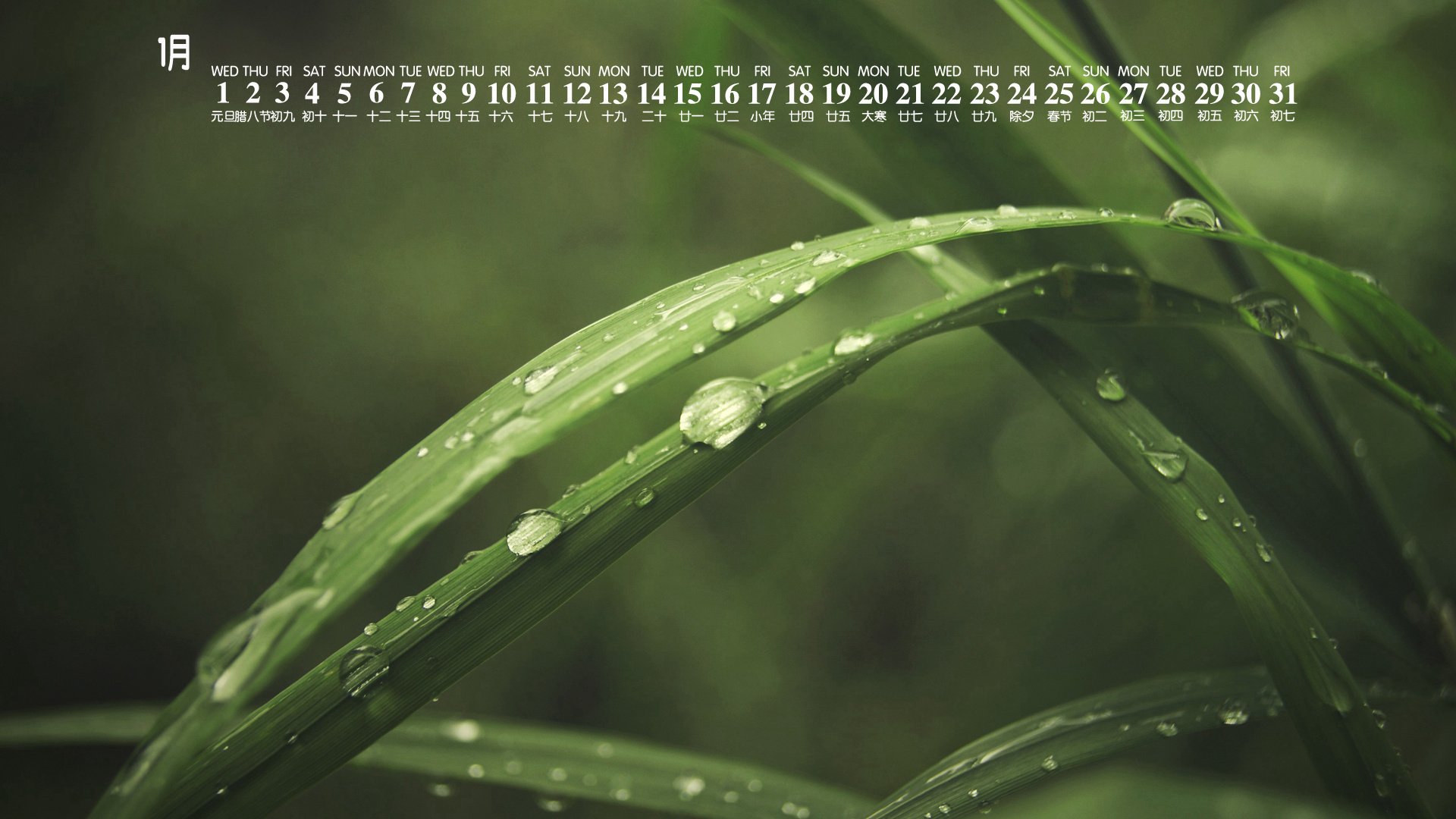 月历 日历 2020年1月