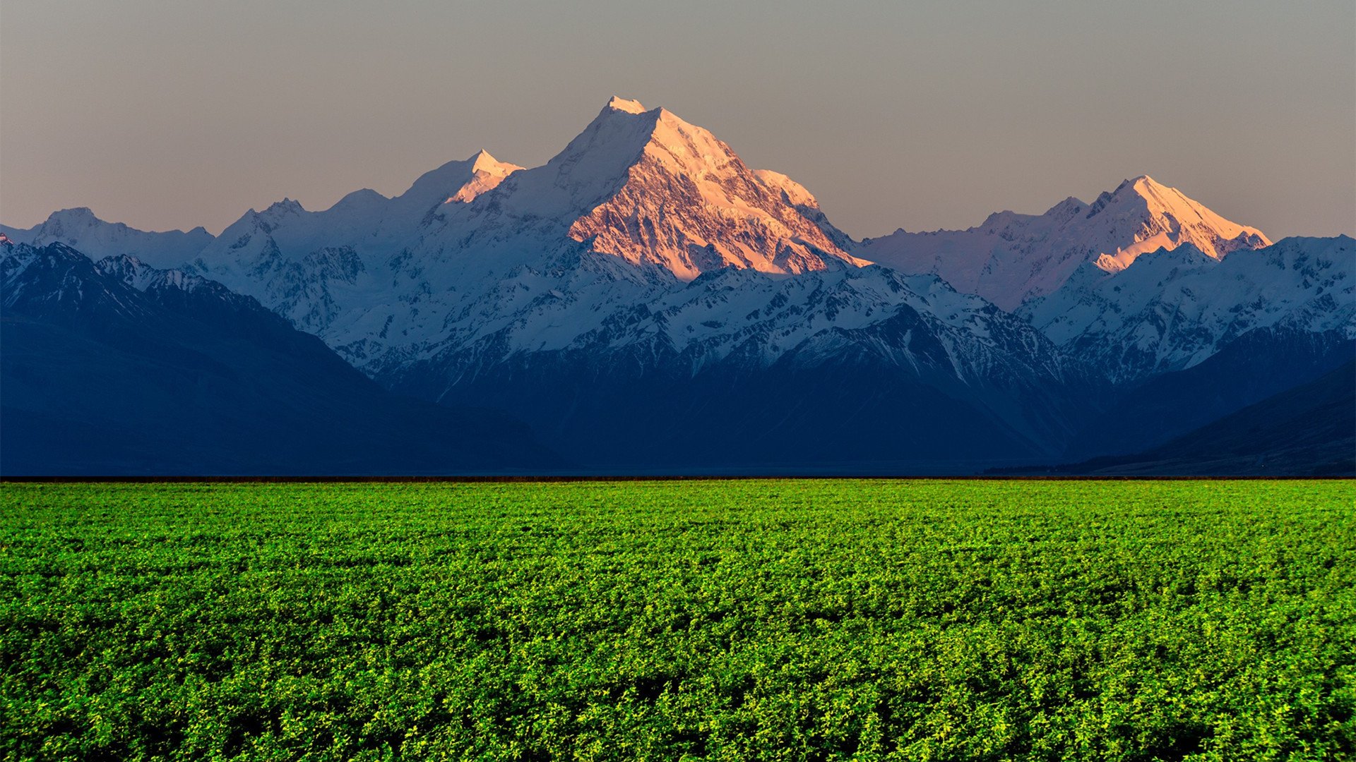 自然风光 雪山 山峰 高山