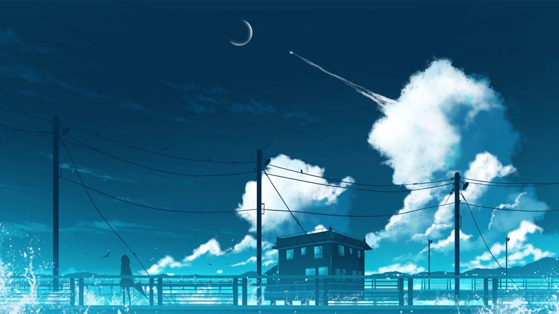 海岸 月亮 飞机 云朵 海浪