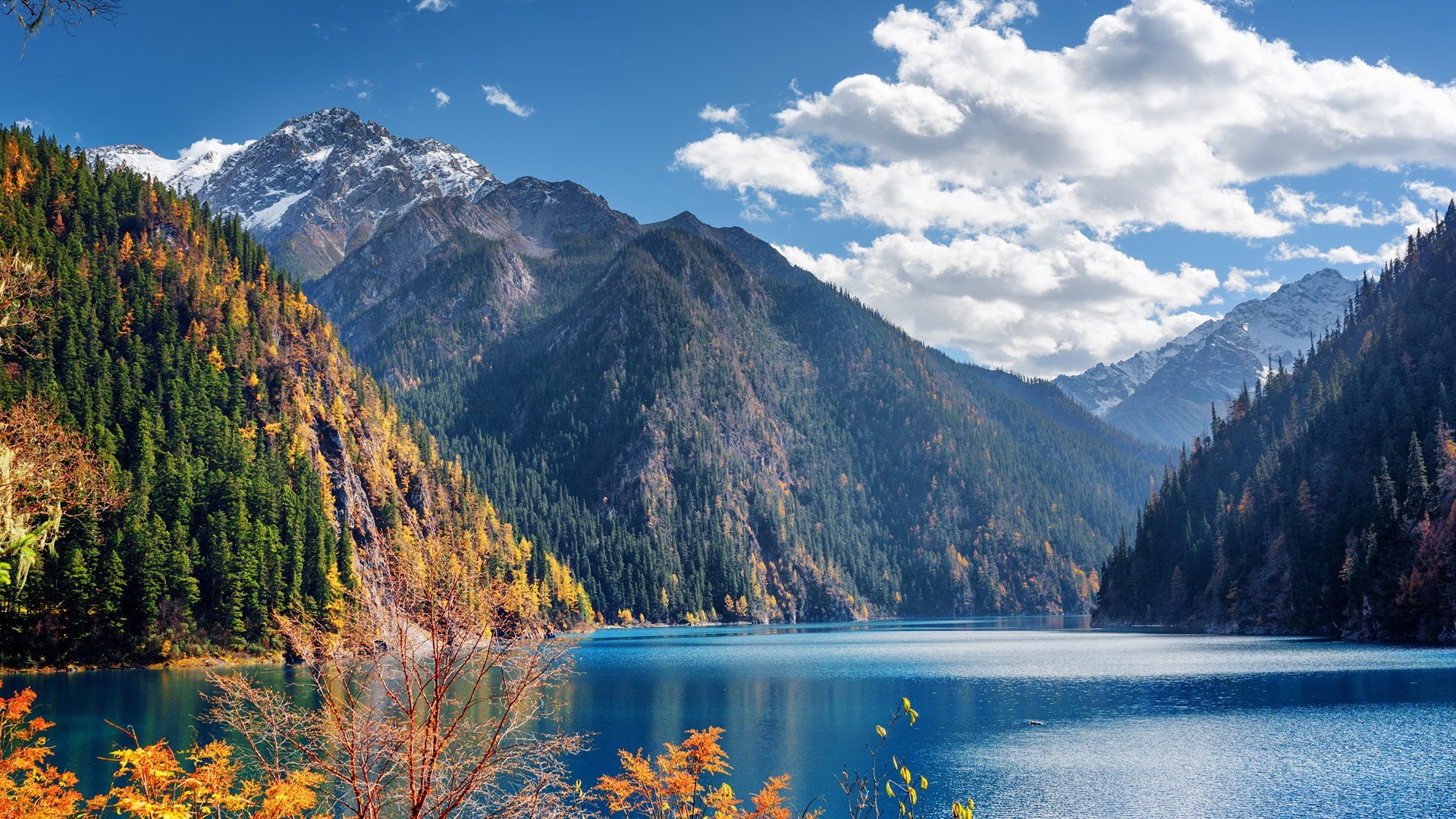 秋意正浓 山 云 树 江