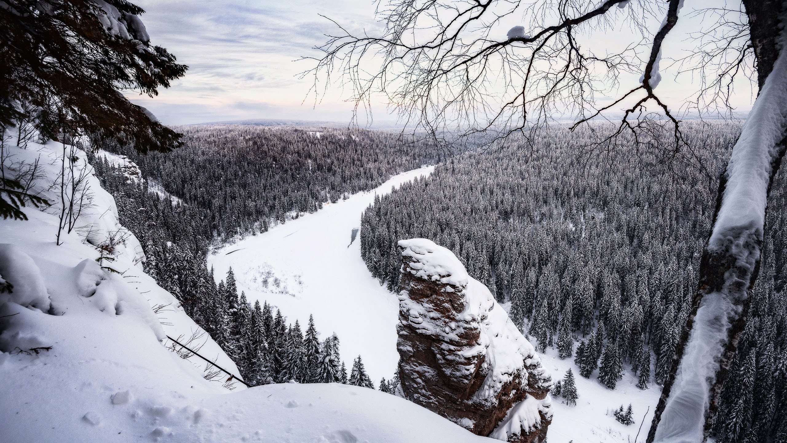 冰天雪地 白雪皑皑 树林