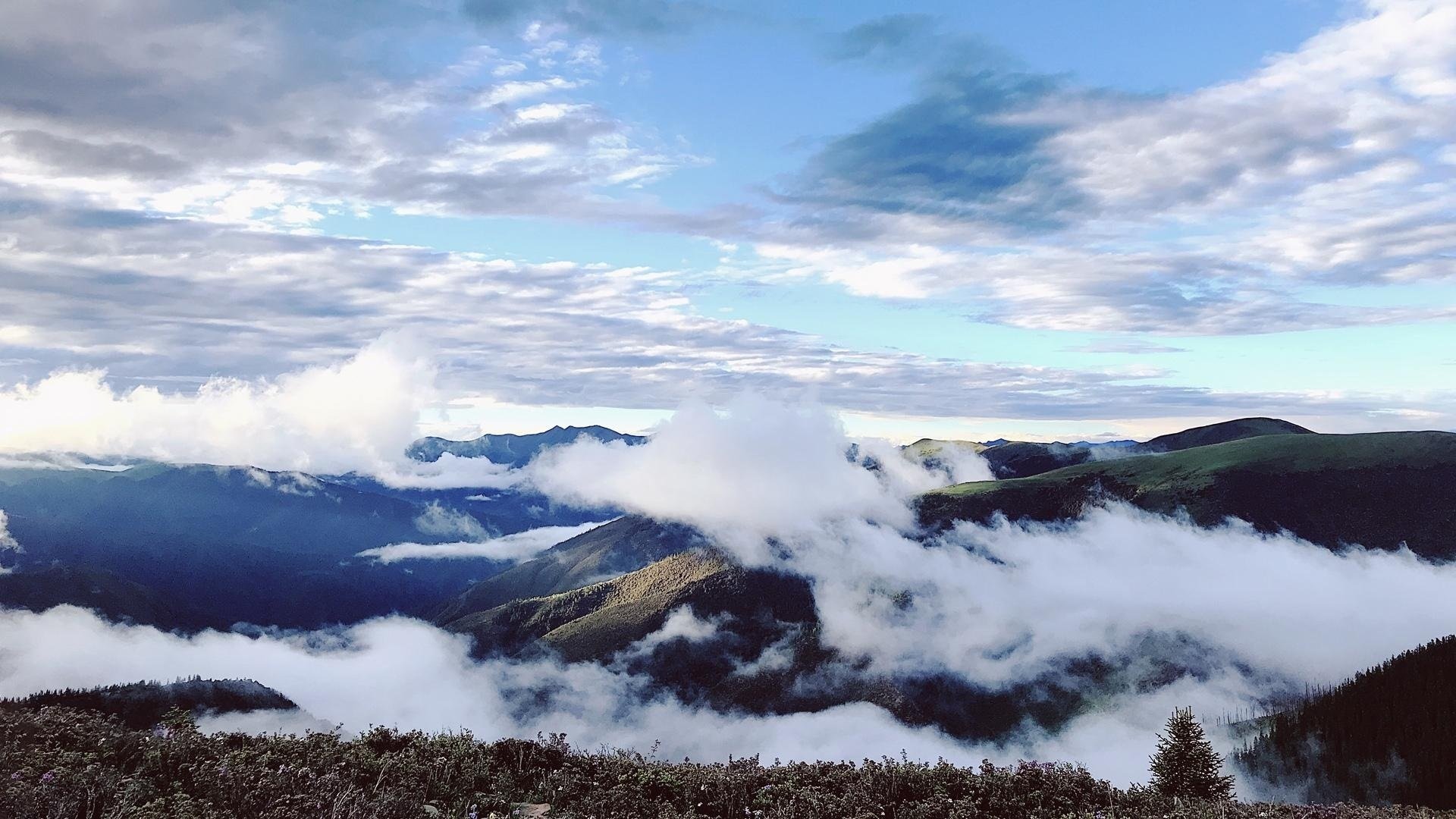 自然风光 稻城亚丁 雾 山林 山峰