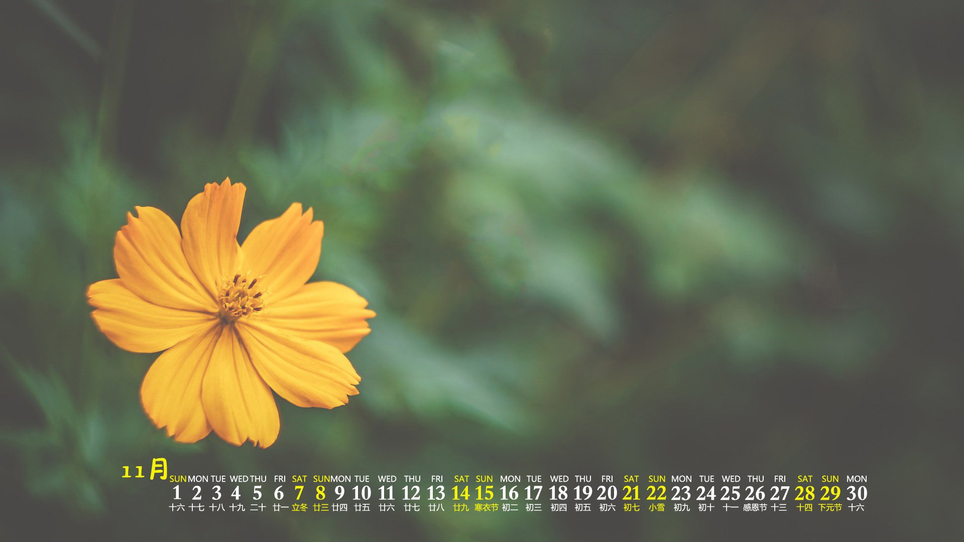 月历 日历 2020年11月