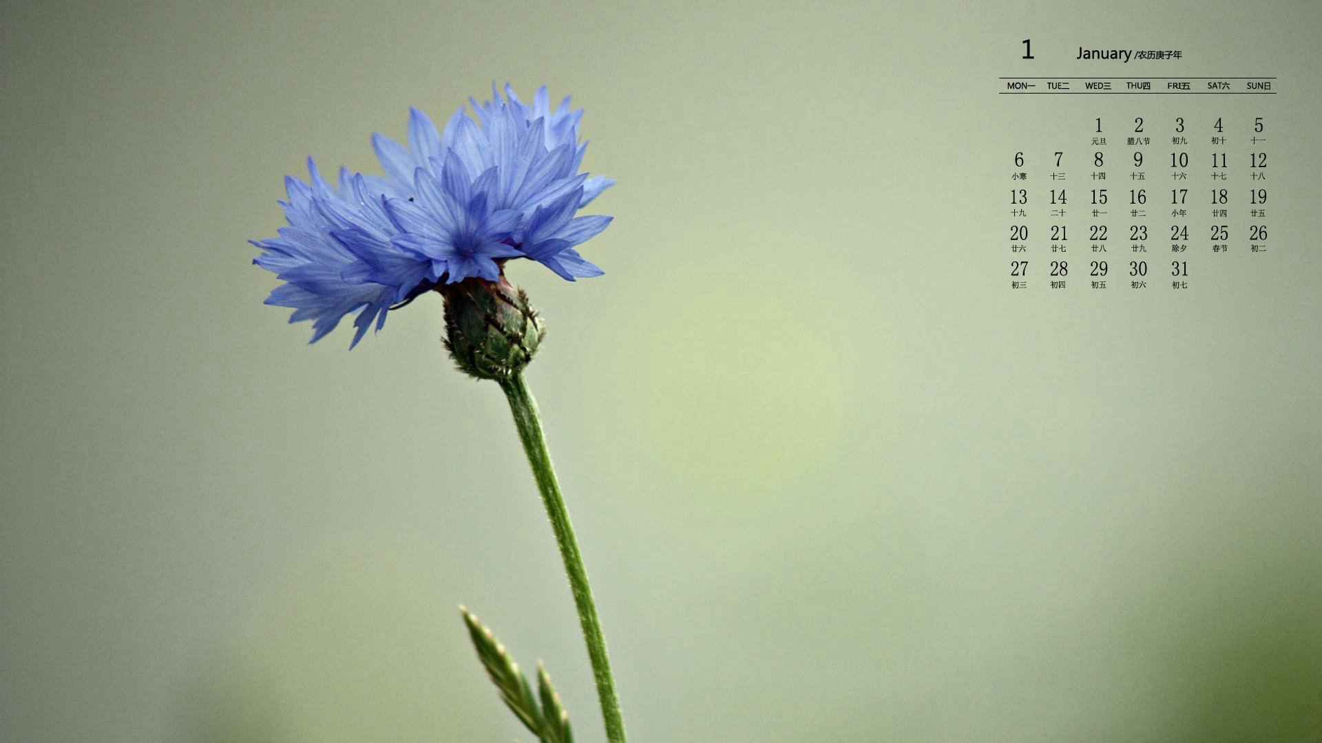 月历 日历 2020年1月